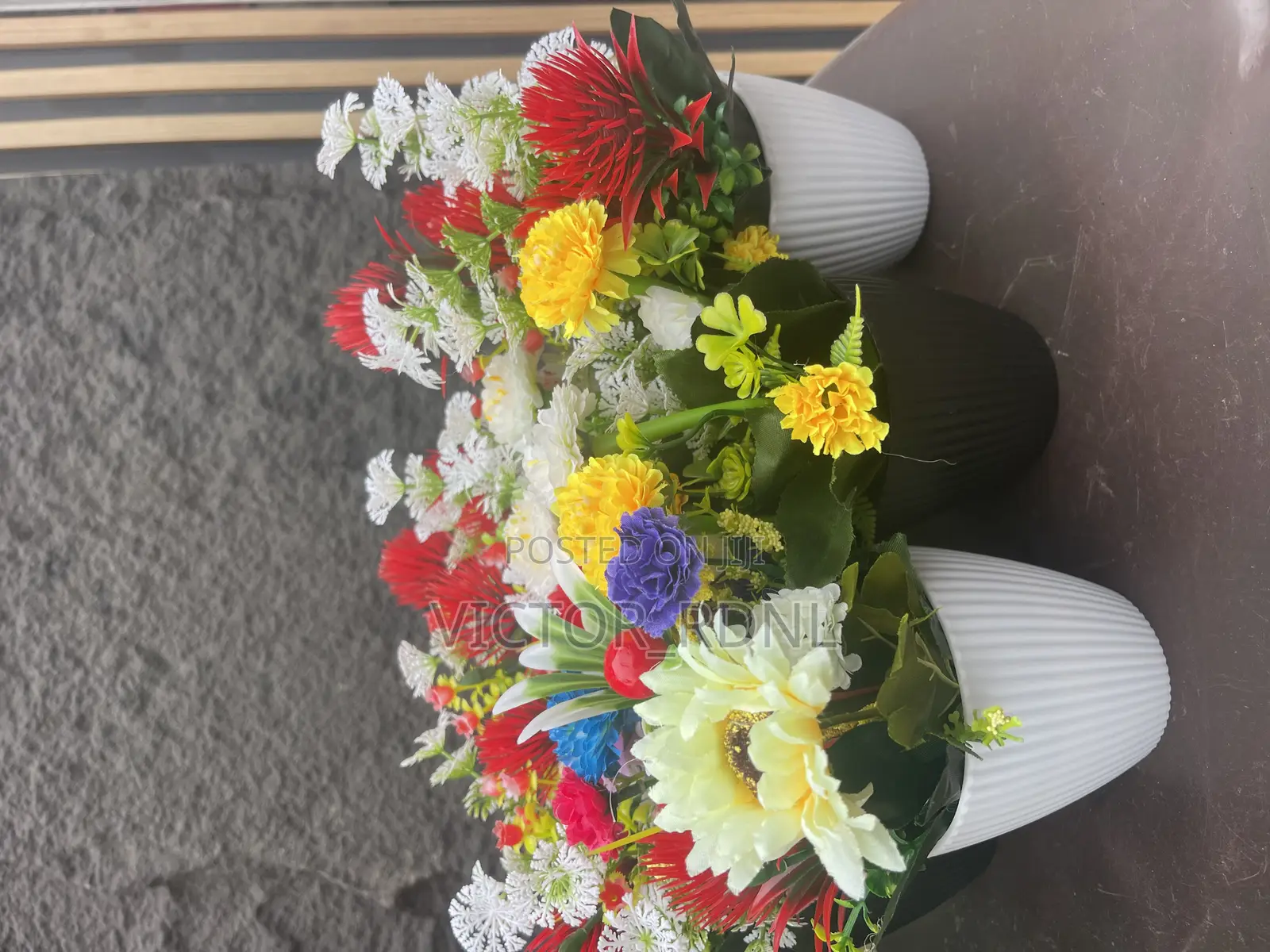High Quality Cup Flower Plant