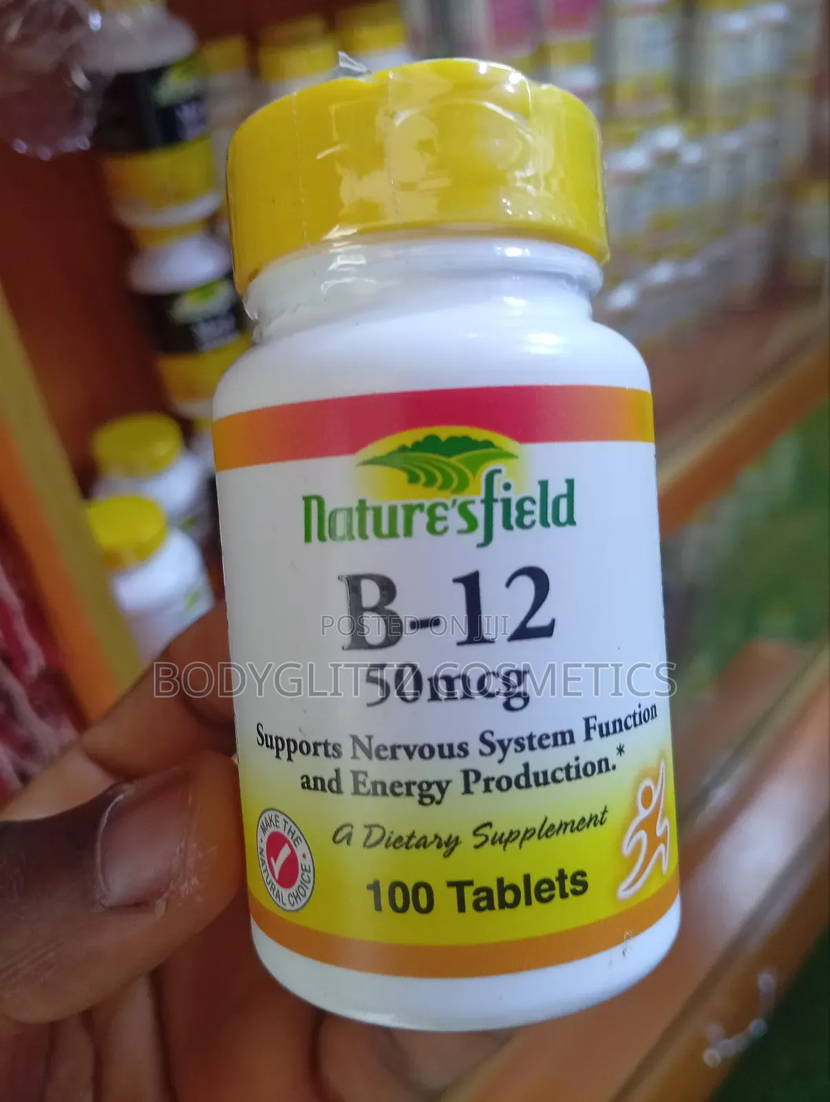 Nature's Field B-12_50mcg × 100 Tablets