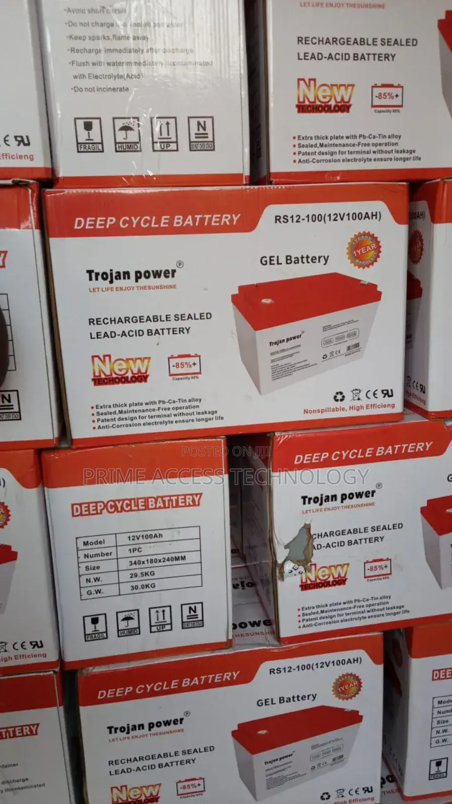 100ah Trojan Power Inverter Battery