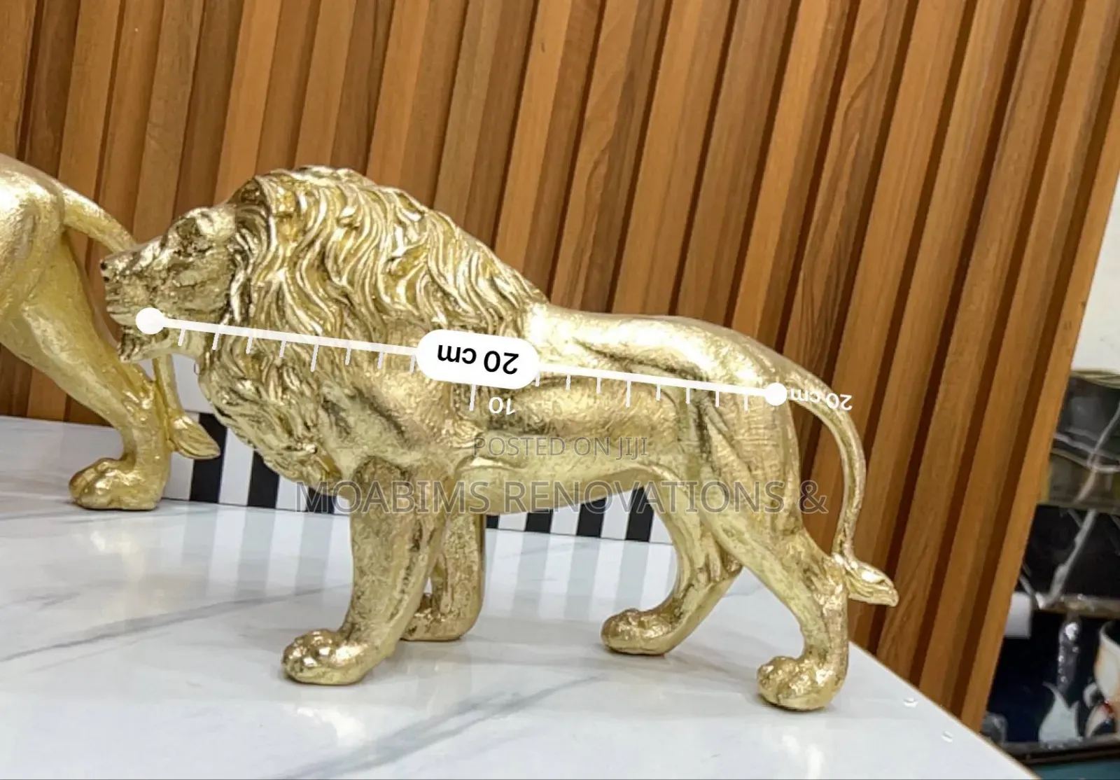 Luxury Stealth Lion Decor Aval in Two Sizes