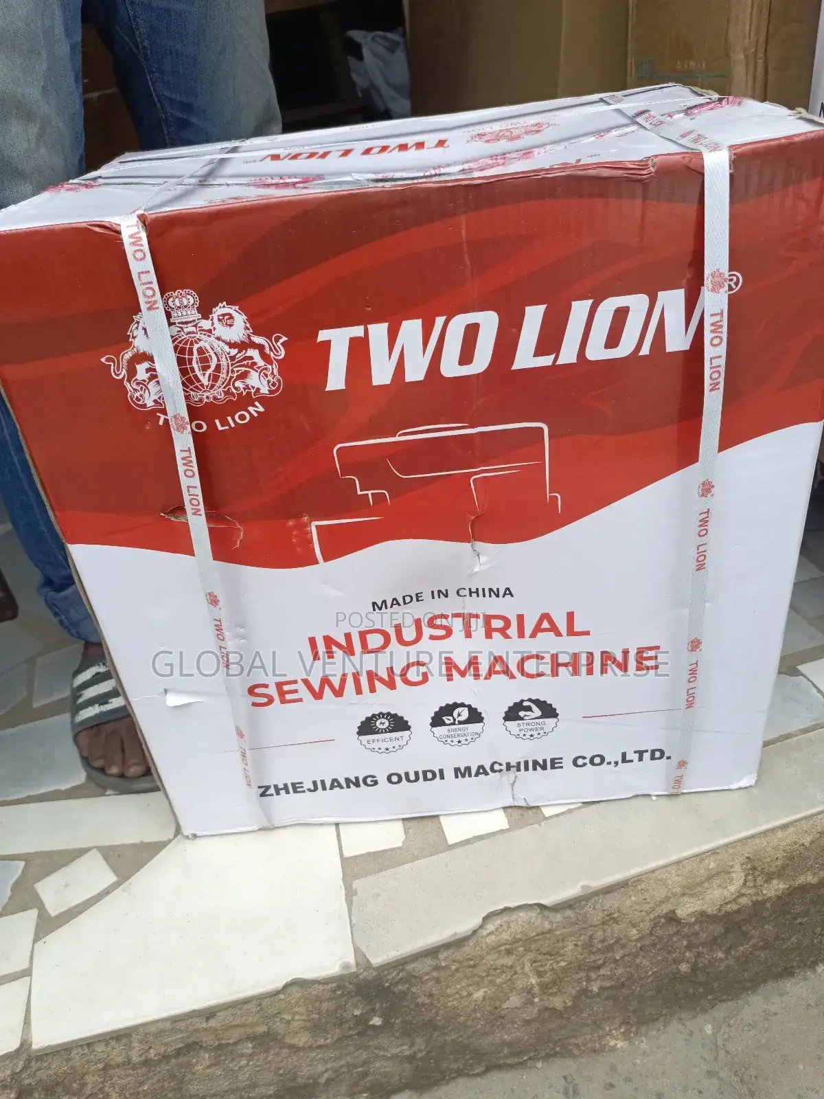 Two Lion Direct Drive