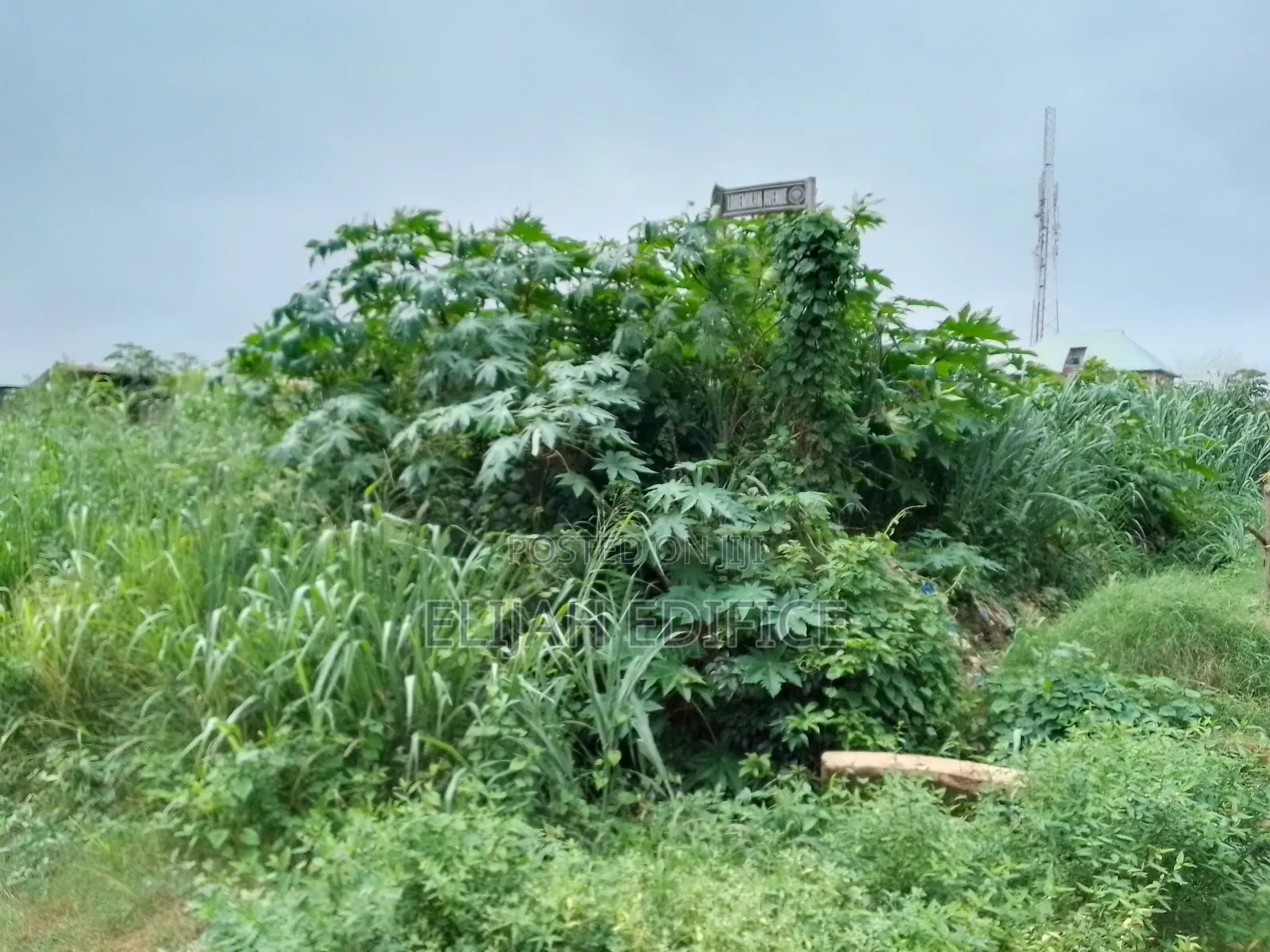 1 Full Table Plot of Land at Mowonla, Ikorodu Lagos