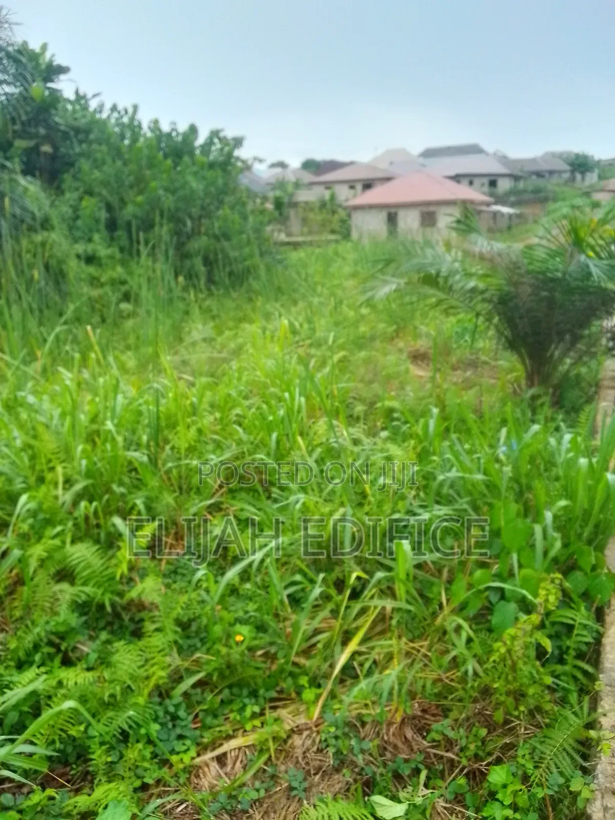 Half Plot at Parkview Estate, Ikorodu Lagos