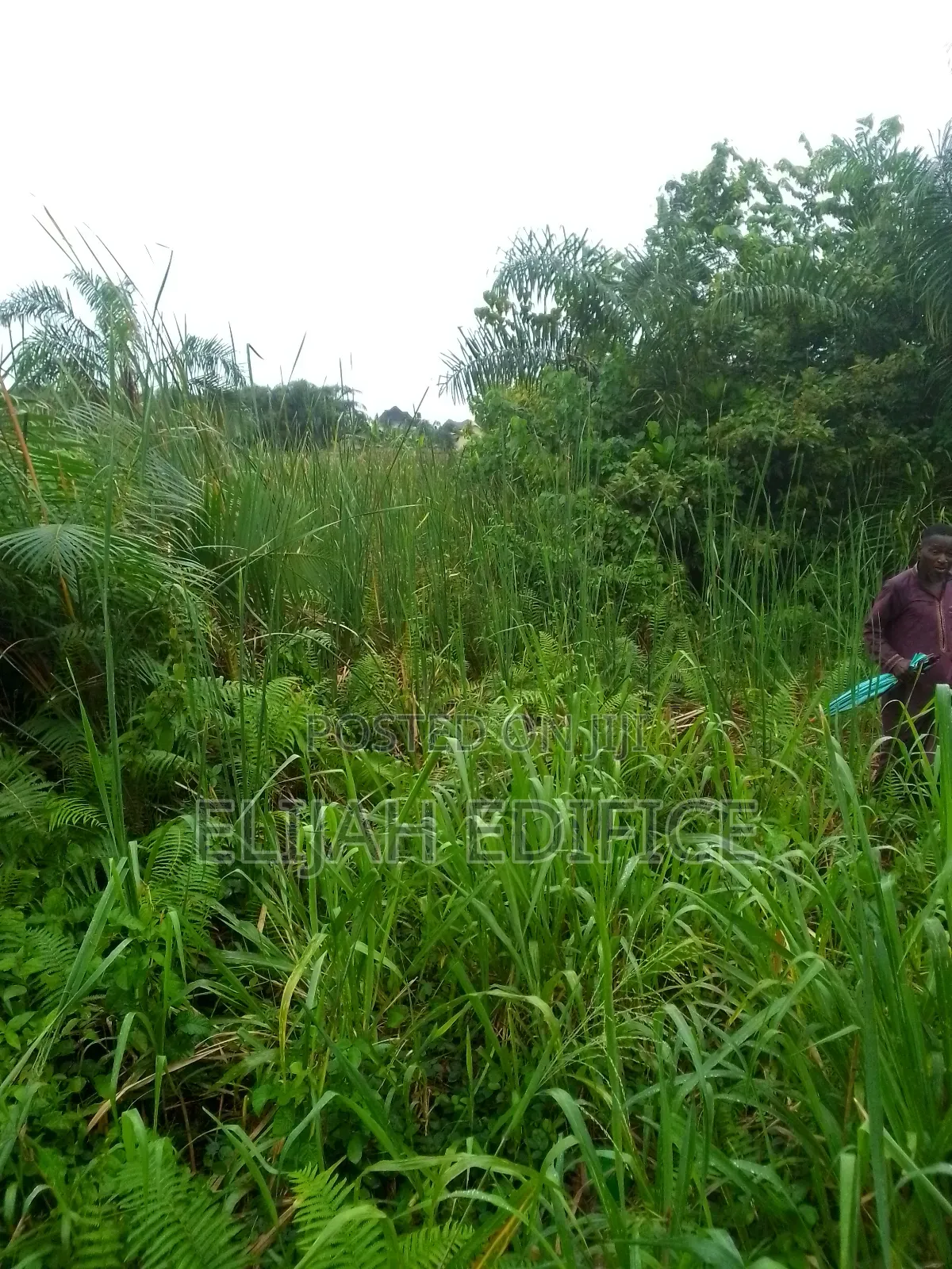 Half Plot at Parkview Estate, Ikorodu Lagos