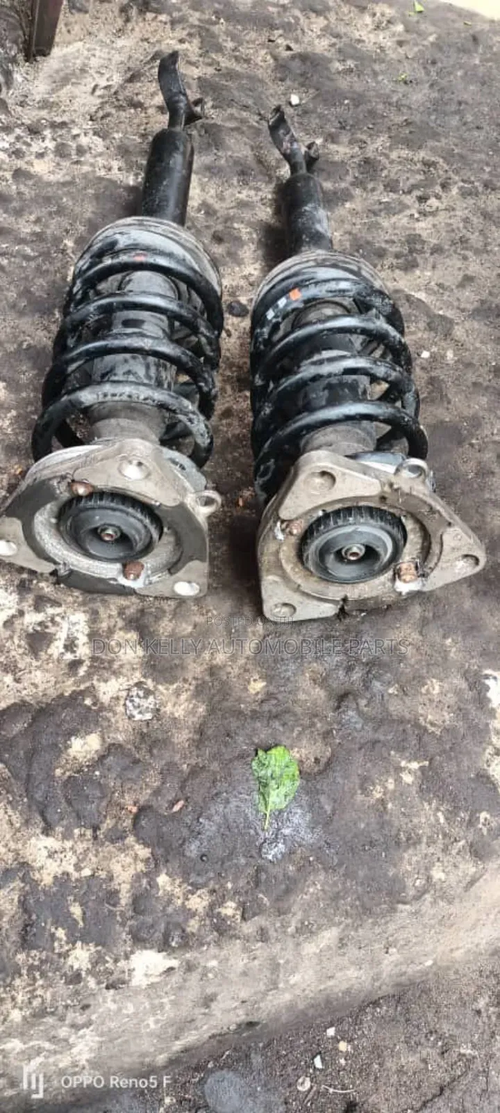 Bentley Manual Shock Absorber