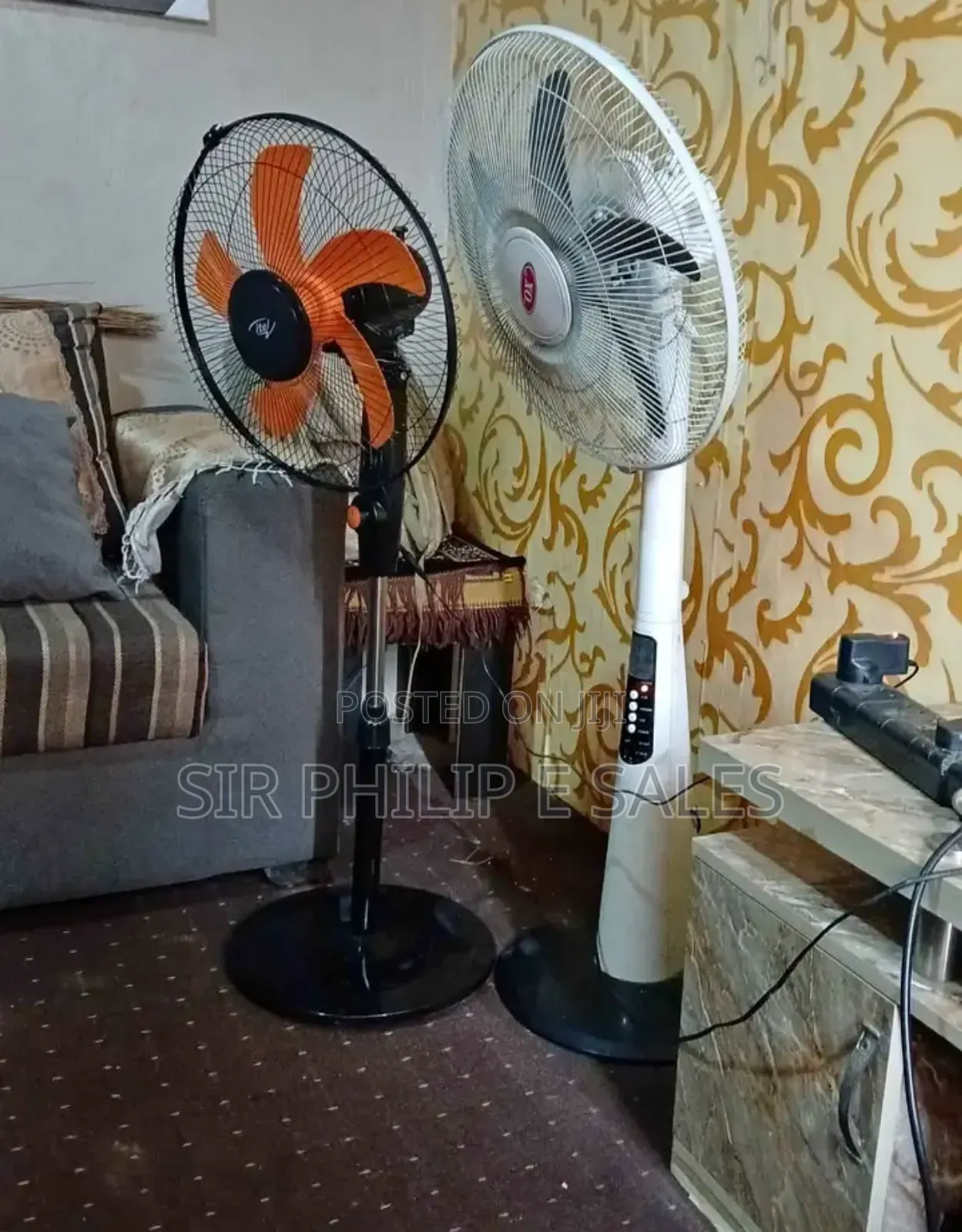 Rechargeable Fan