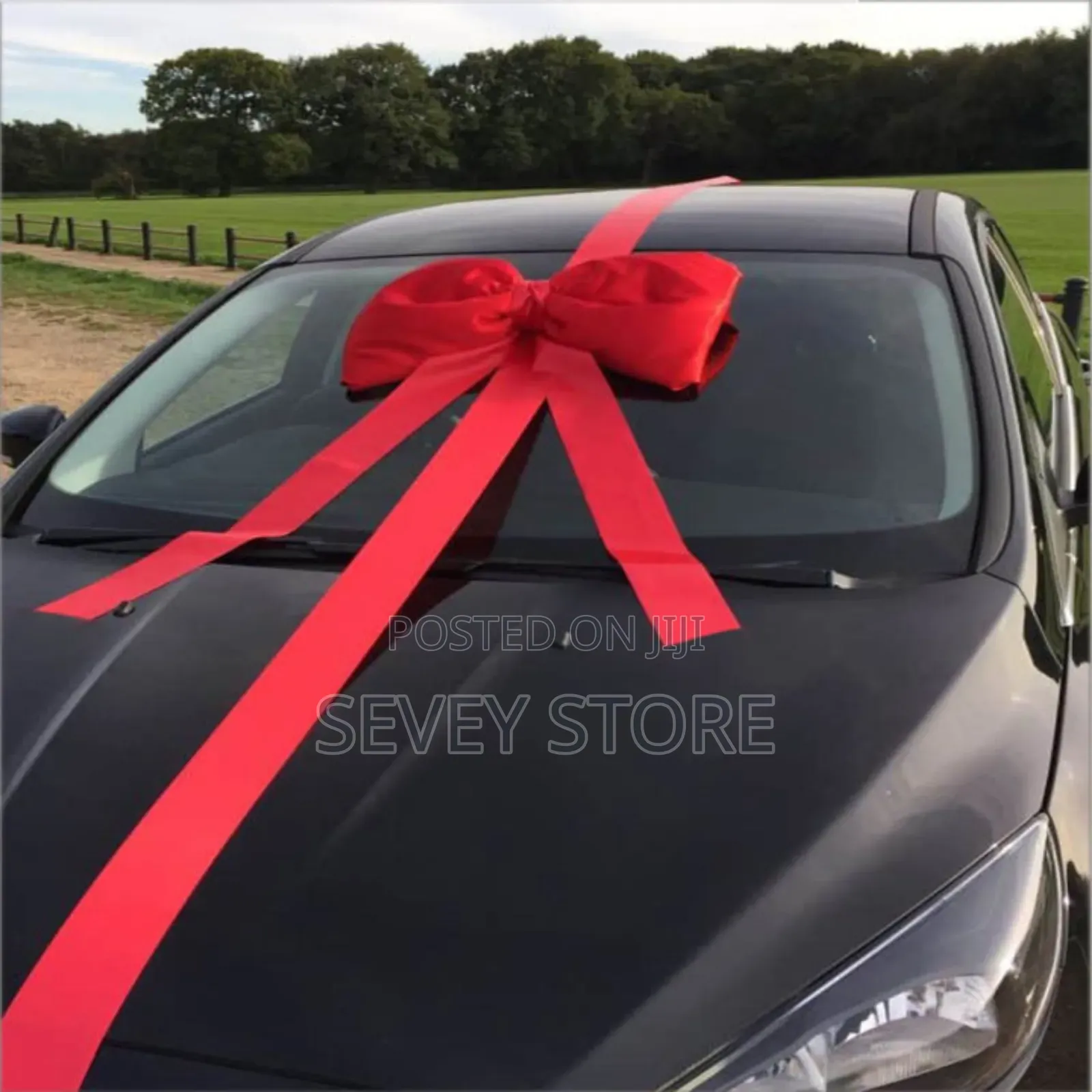 Big Red Car Bow Tie
- Surprise Car Gift Ribbon