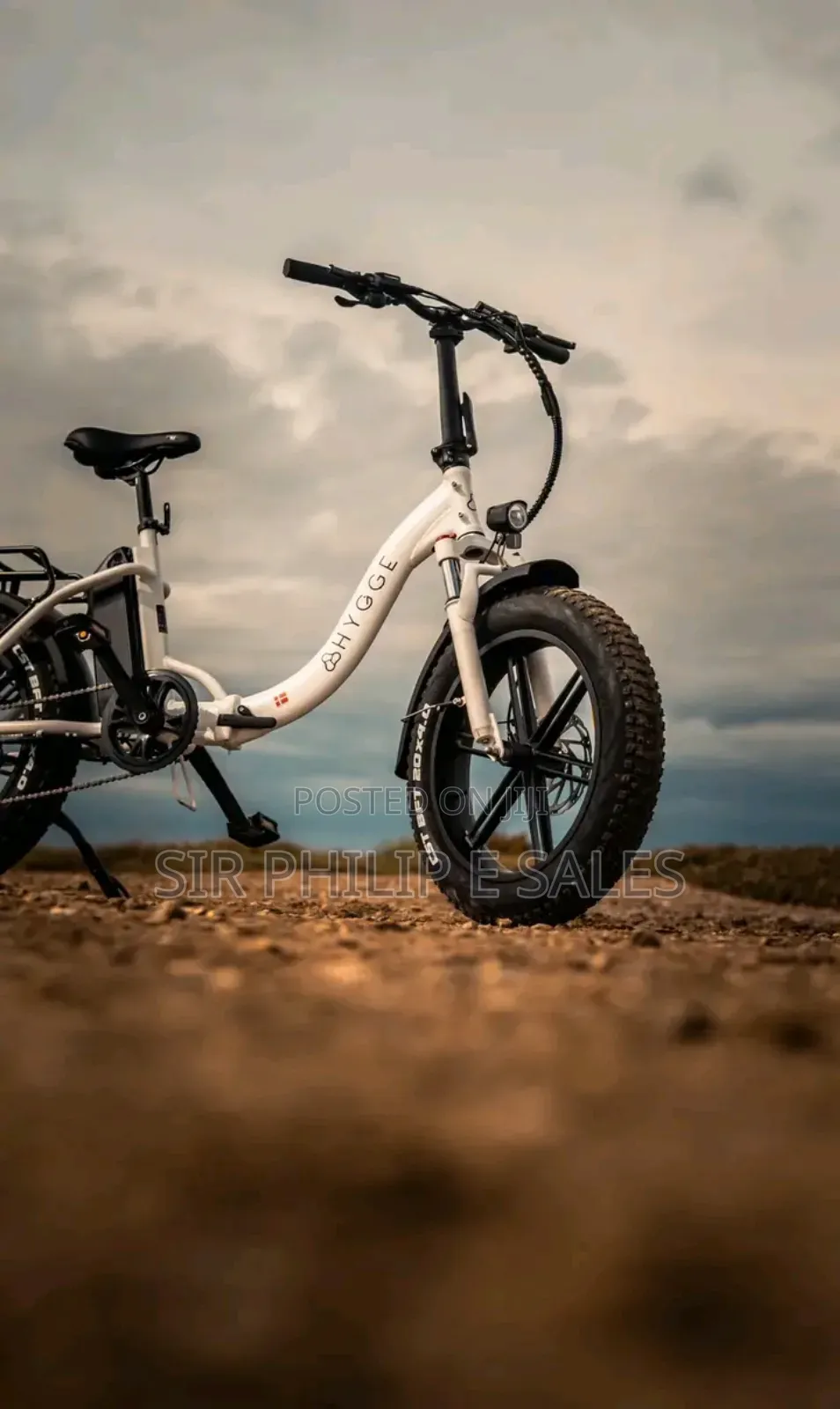Top Electric Bicycle