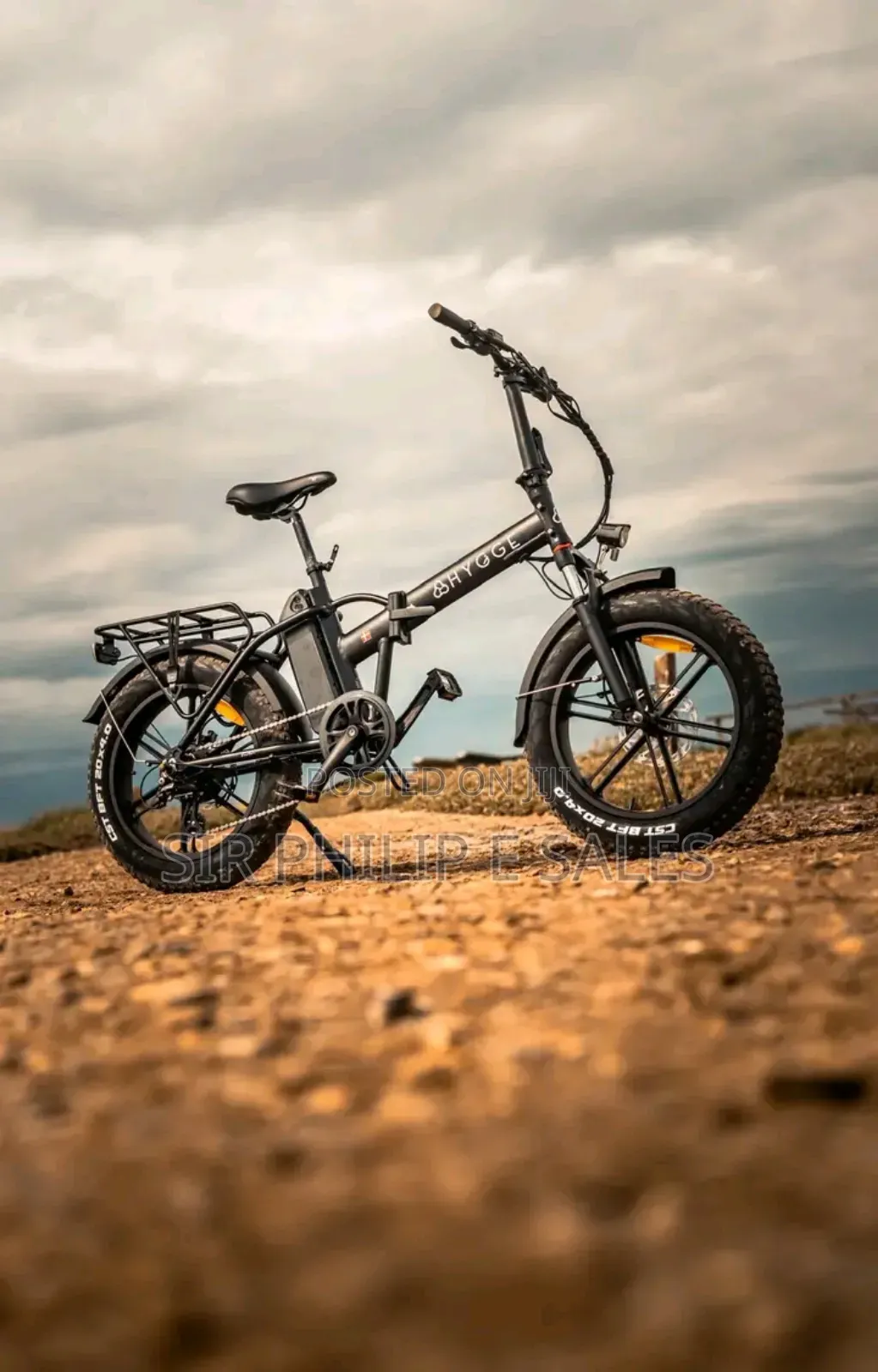 Electric Bicycle