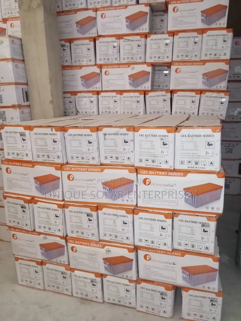Felicity Solar Dry Cell Battery