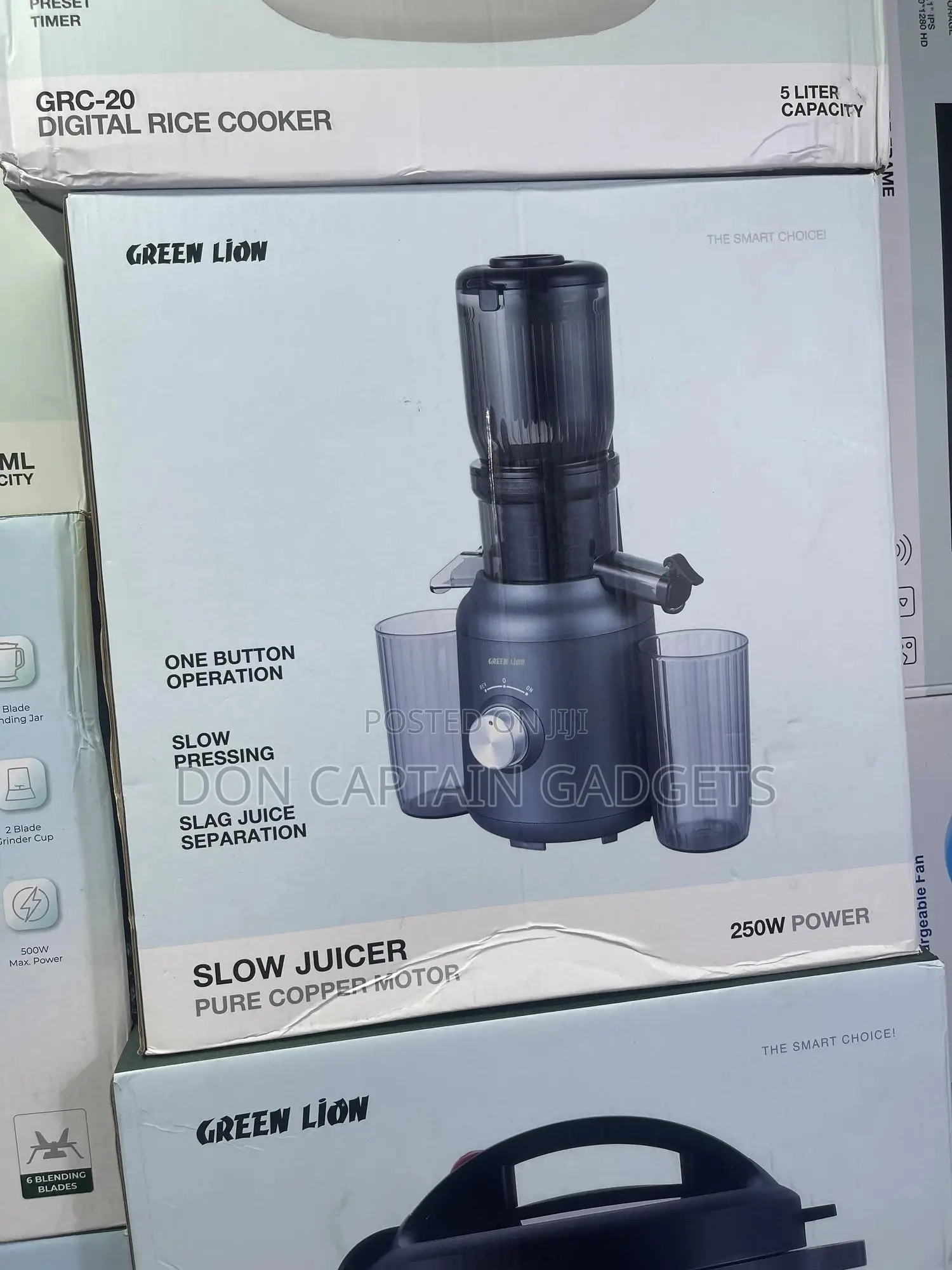 Green Lion Slow Juicer 250watts
