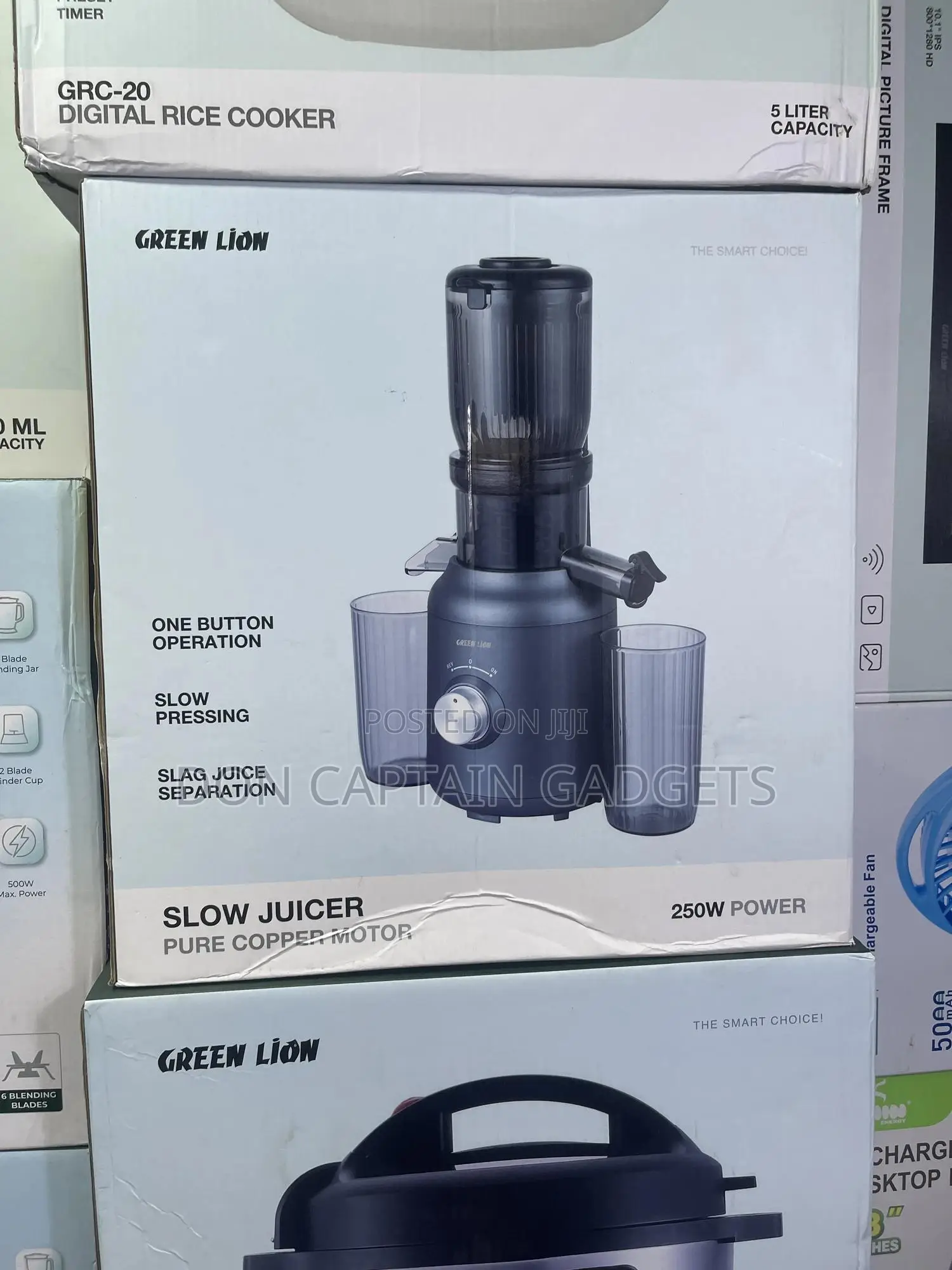 Green Lion Slow Juicer 250watts