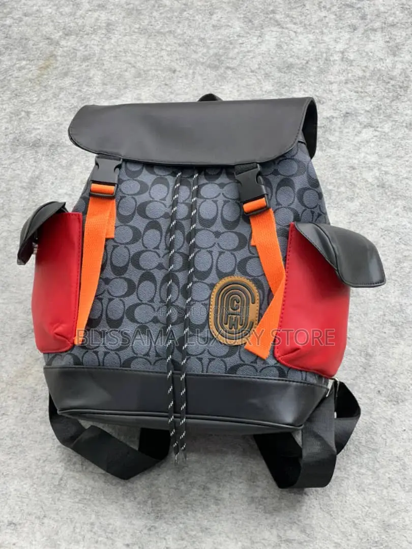 Quality Louis Vuitton/Coach Bag Packs