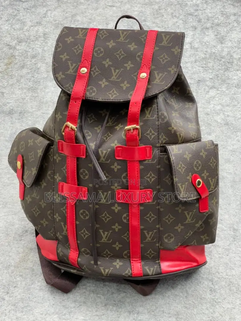 Quality Louis Vuitton/Coach Bag Packs