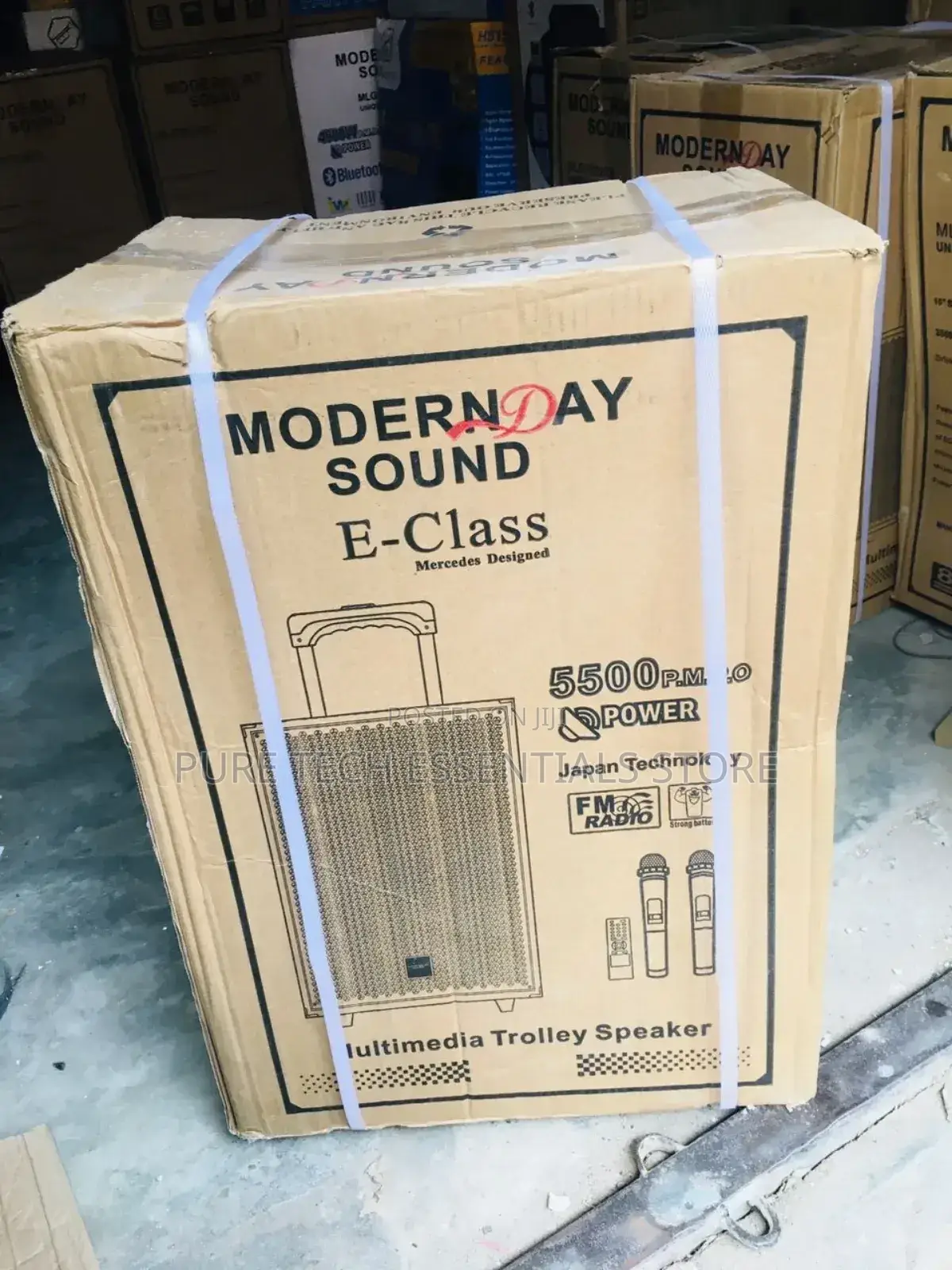 Modern Day 12” Speaker Comes With Two Microphone .
