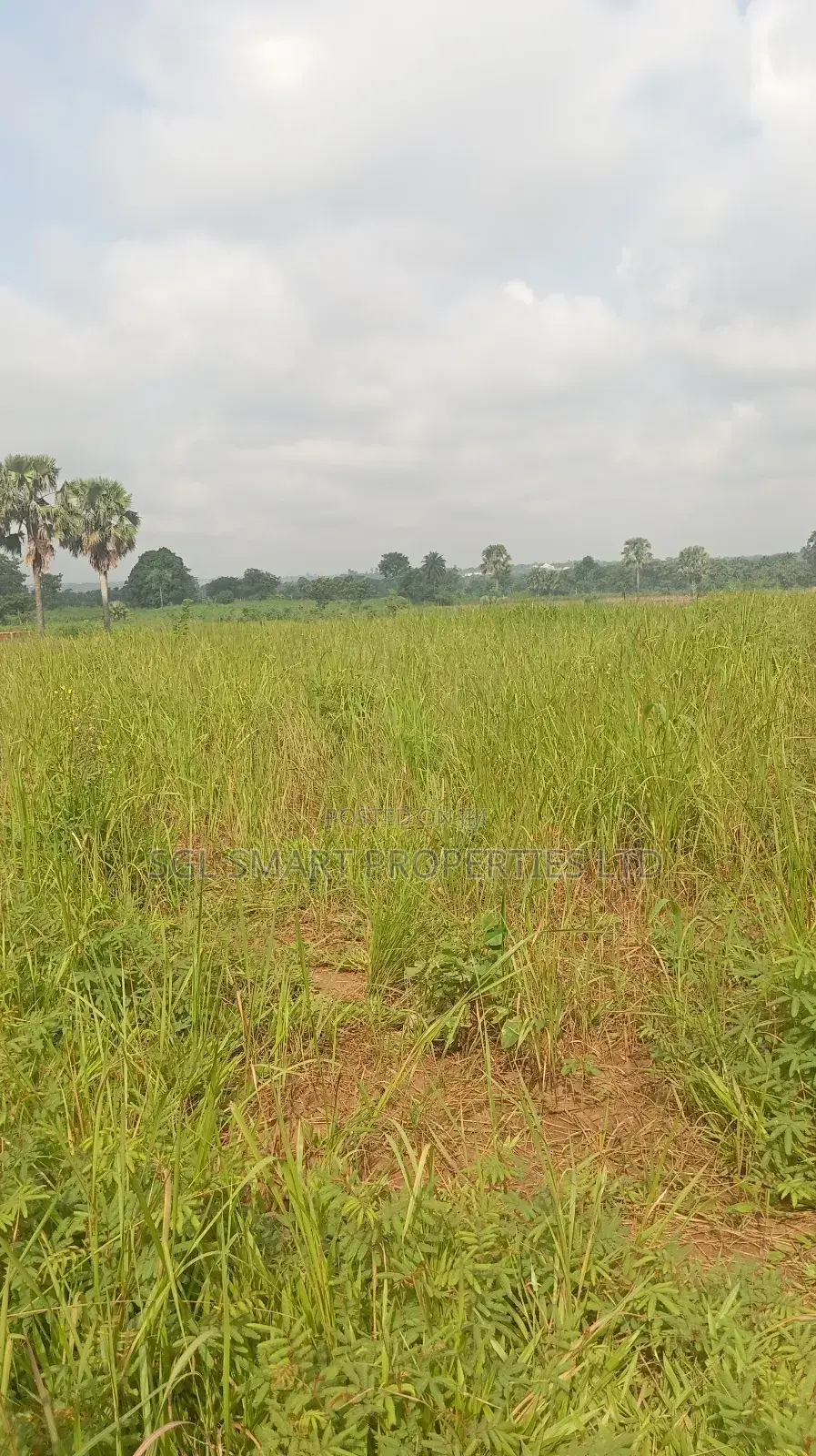 About 12 Plots of Land for Sale at Isu