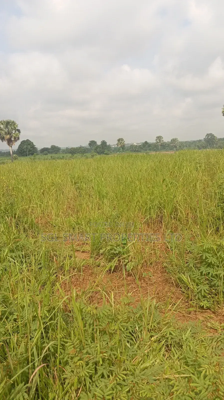 About 12 Plots of Land for Sale at Isu