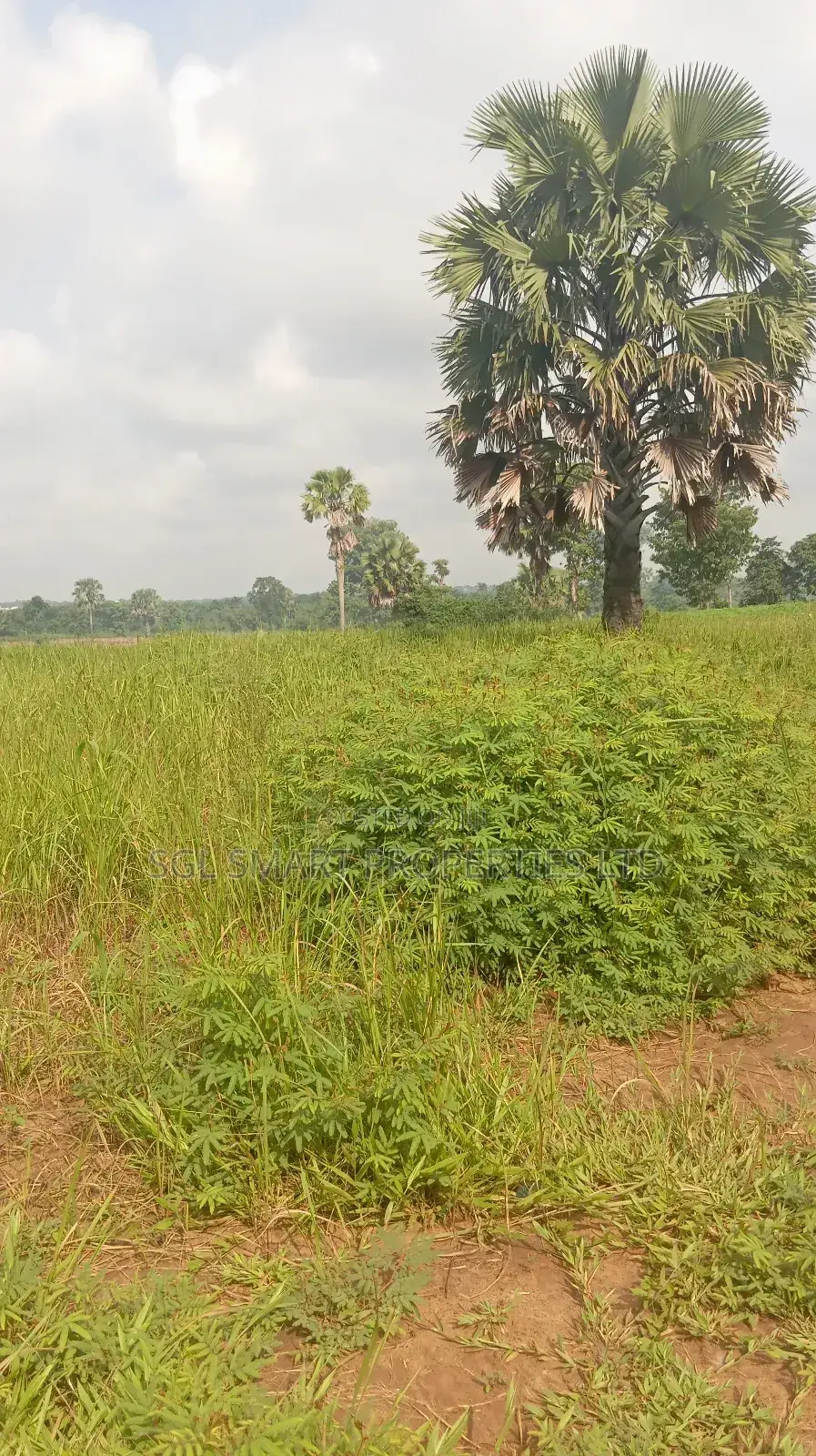 About 12 Plots of Land for Sale at Isu