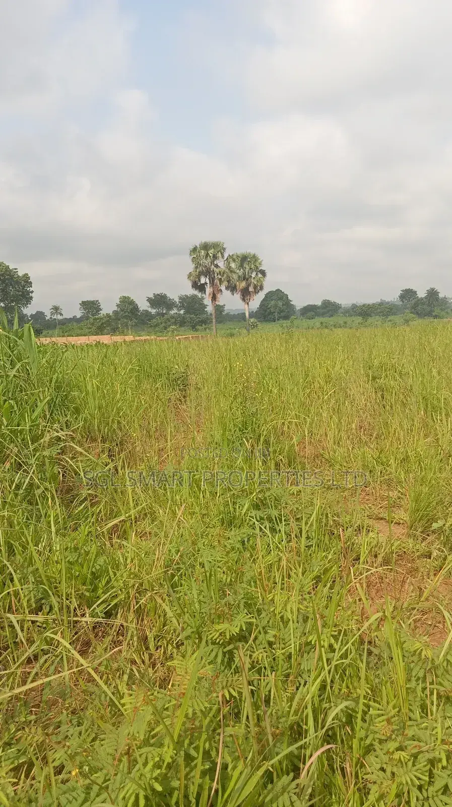 About 12 Plots of Land for Sale at Isu