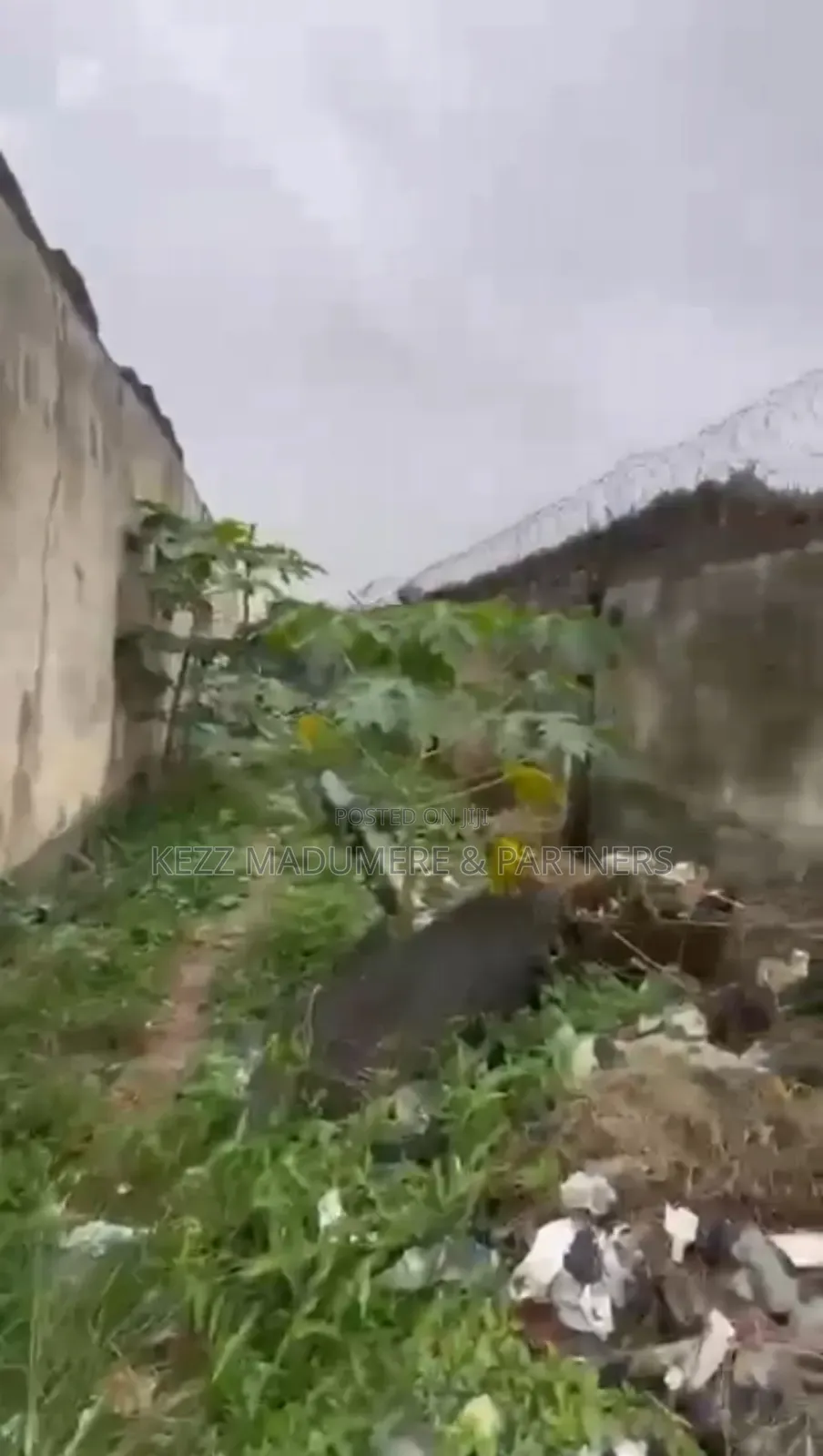For Sale: Five Half (51⁄2) Plots At New Gra Phase 1 ,Ph