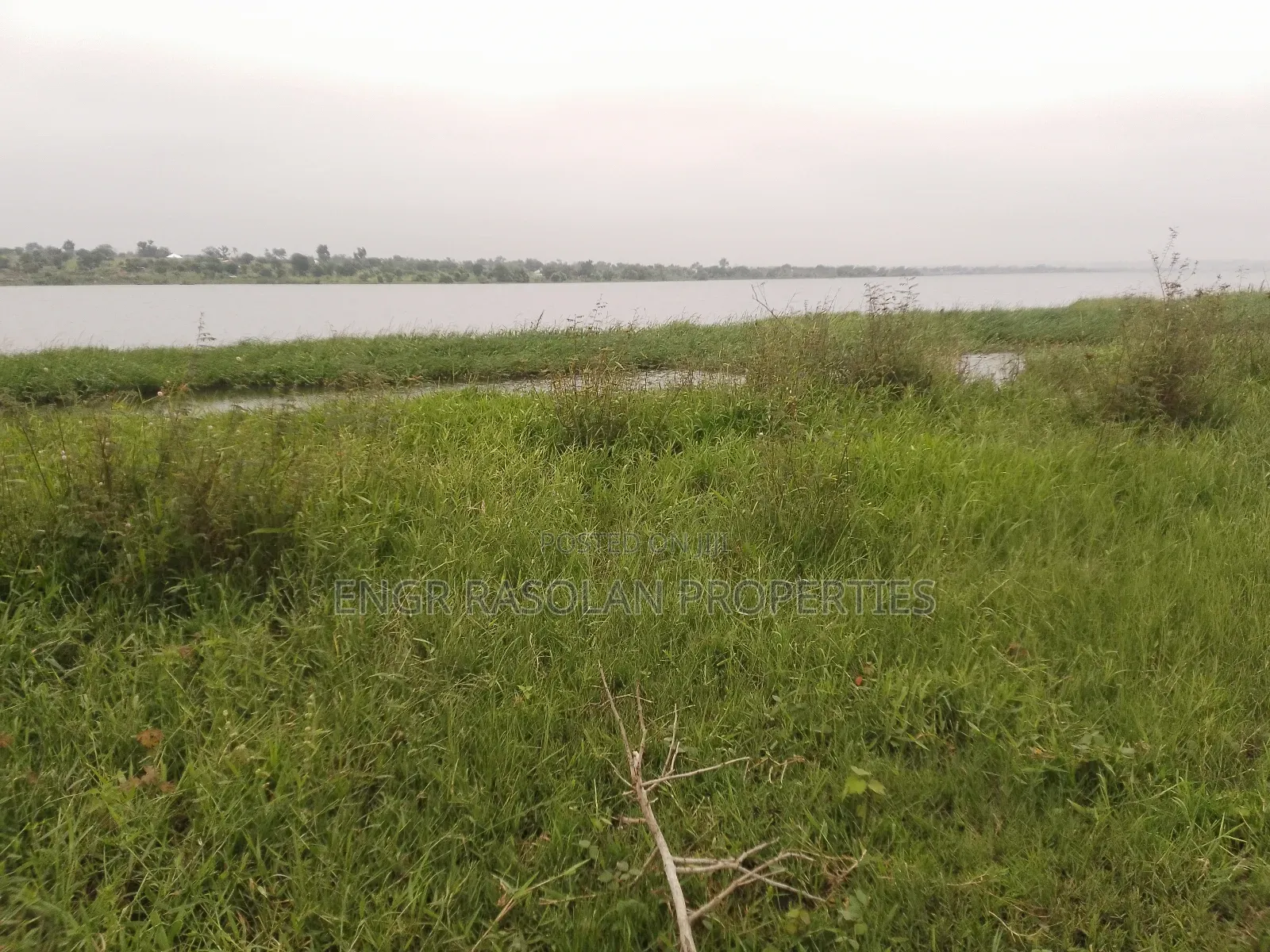 For Sale Swampy Land Beside River