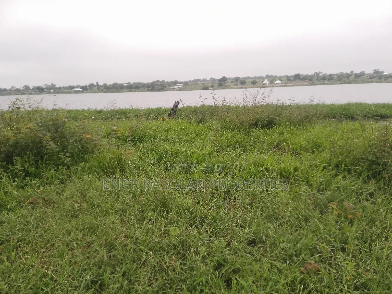 For Sale Swampy Land Beside River