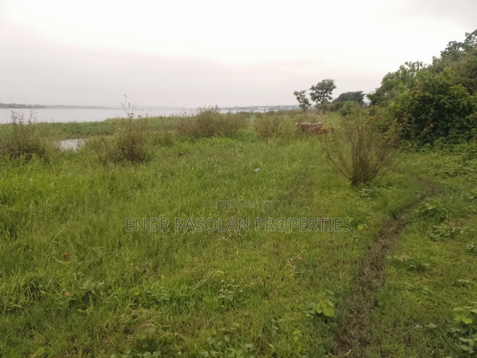 For Sale Swampy Land Beside River