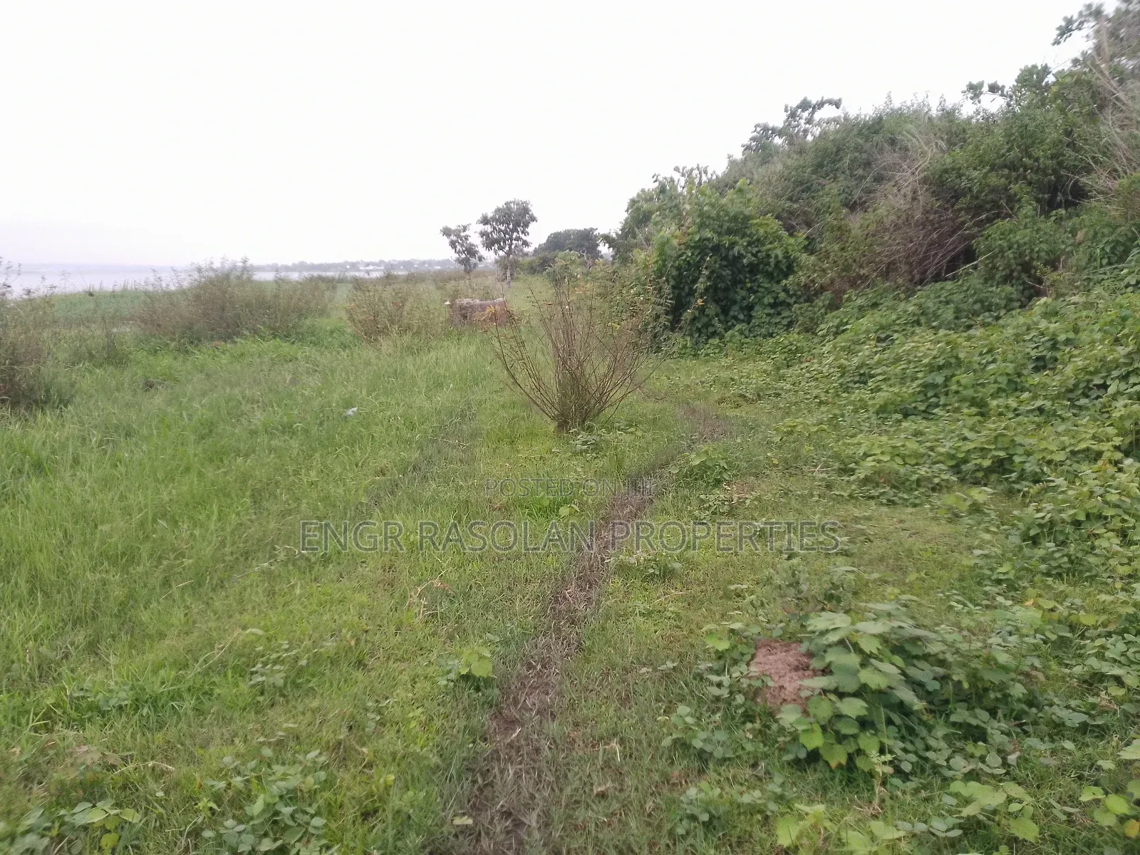 For Sale Swampy Land Beside River