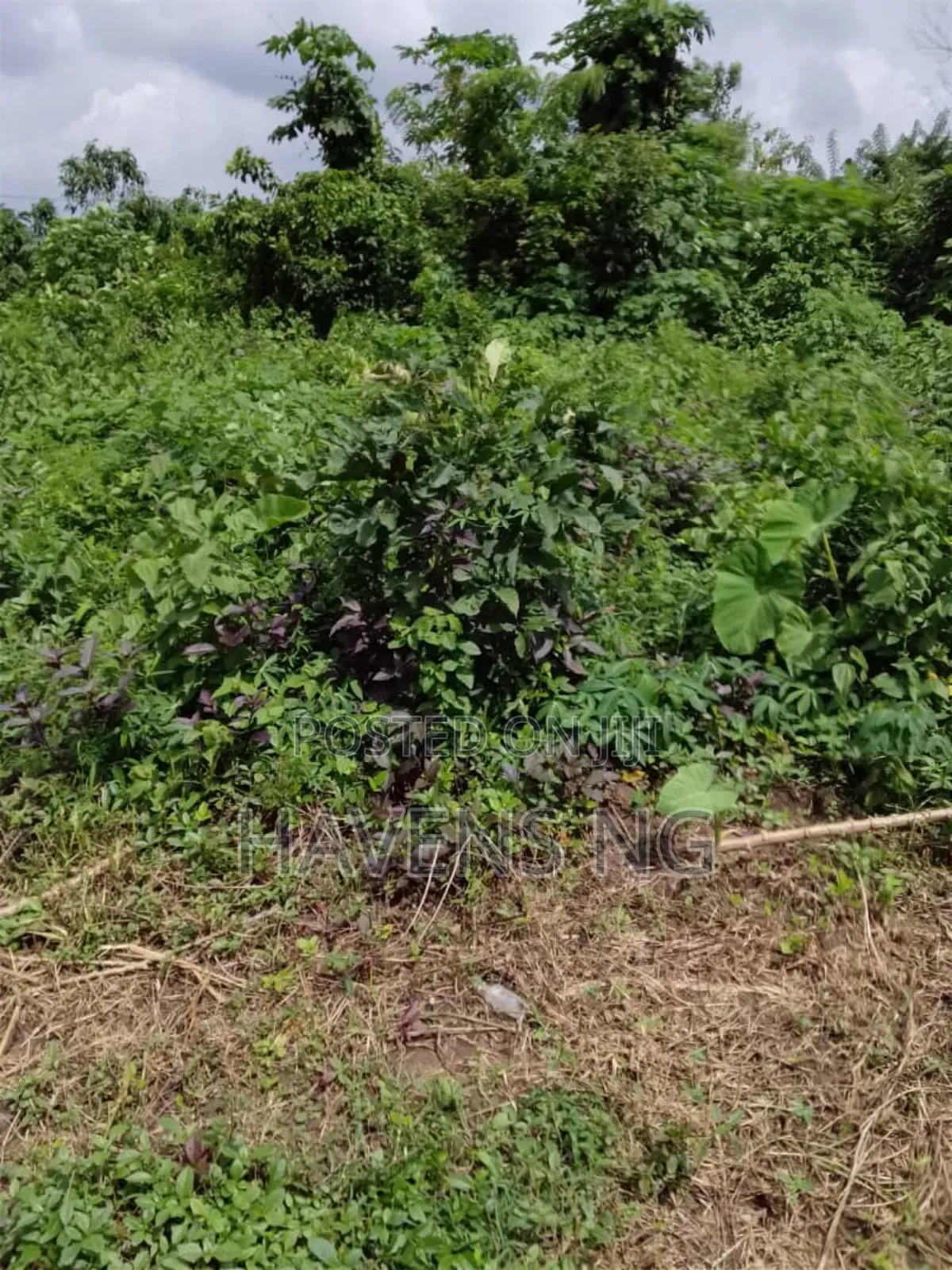 2 Plots of Land Akobo/Olorunda Abaa