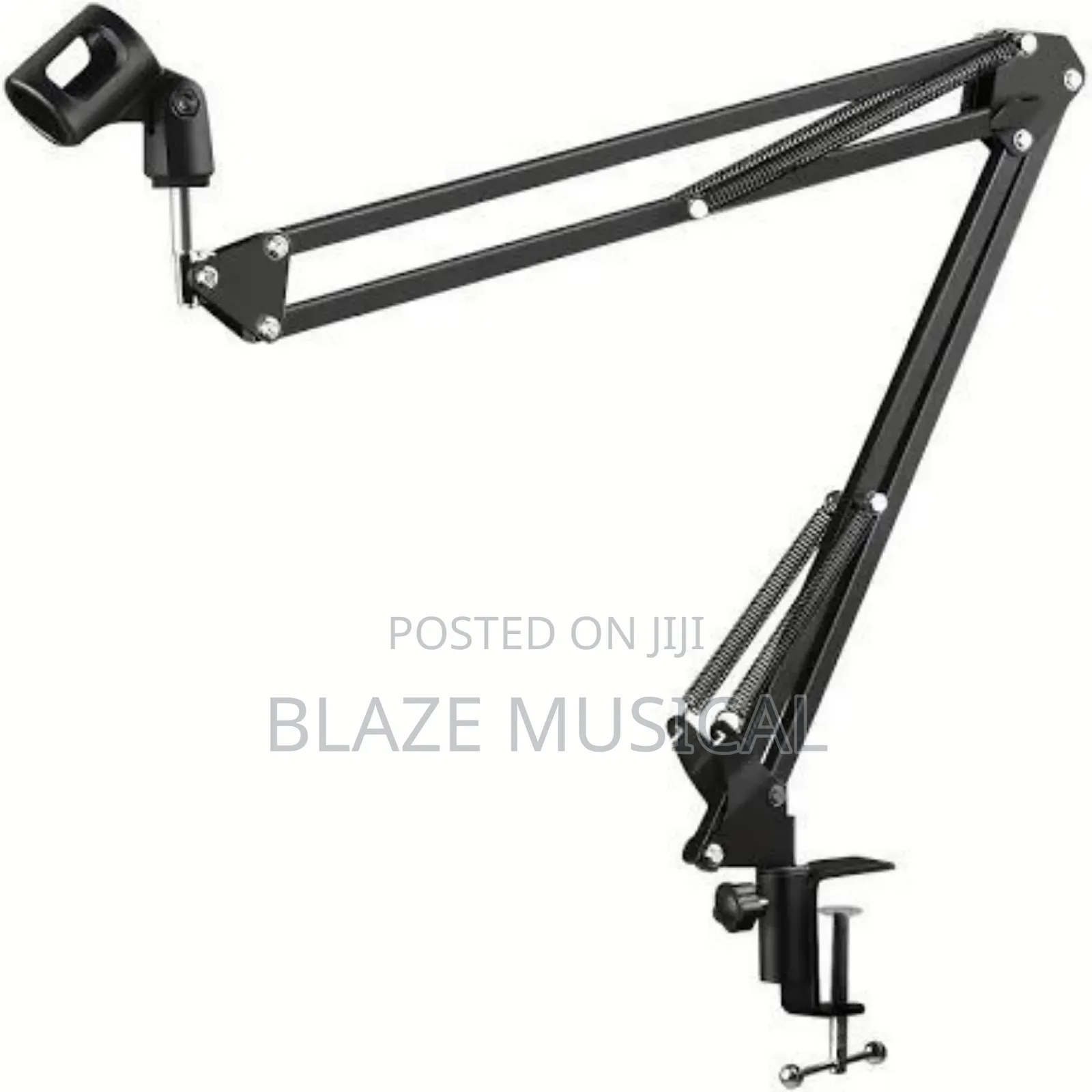 Blaze Professional Microphone Stand