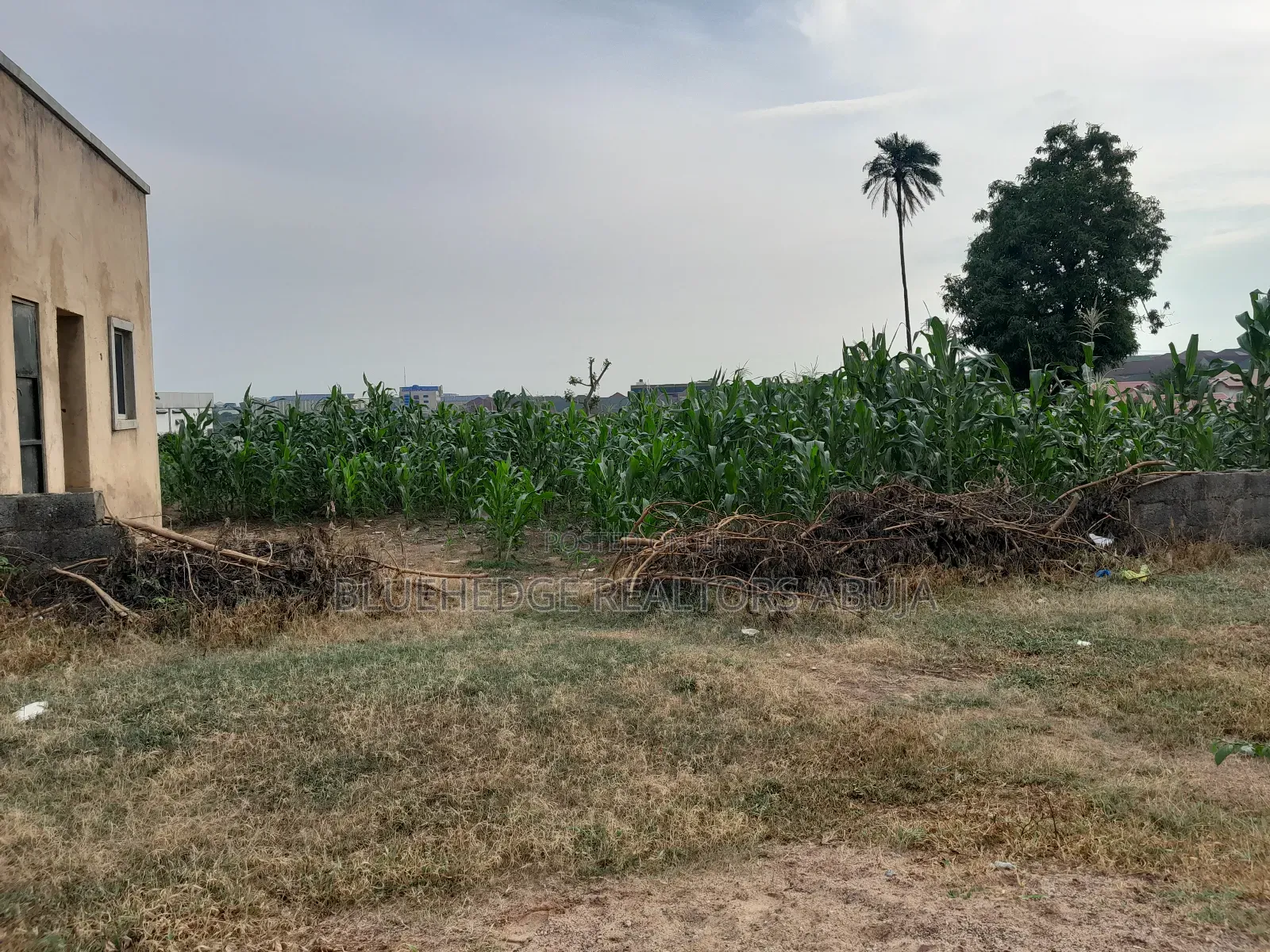 Dry and Expanse School Land Measuring 1.75 Hectares