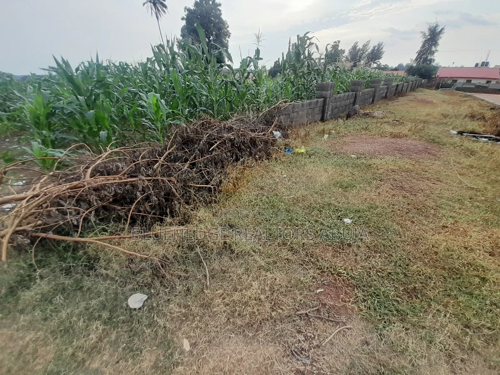 Dry and Expanse School Land Measuring 1.75 Hectares