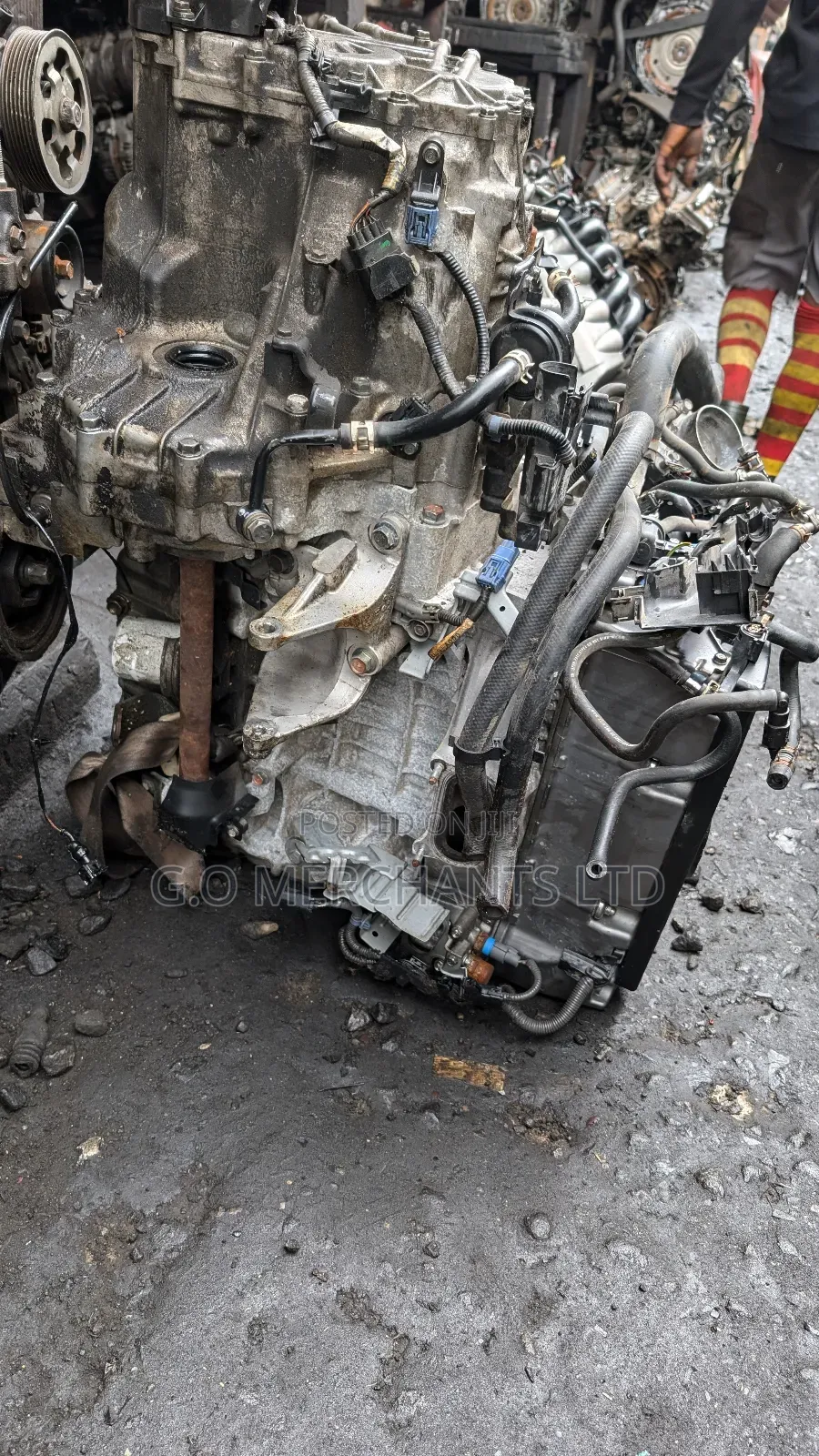 2008-2012 Acura TSX Direct Japan 2.4l Engines
