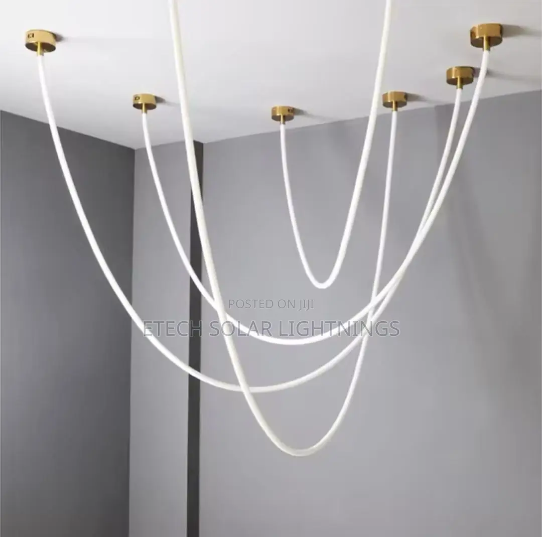 Magic Belt Flexible Led Minimalist Hanging Chandelier Light