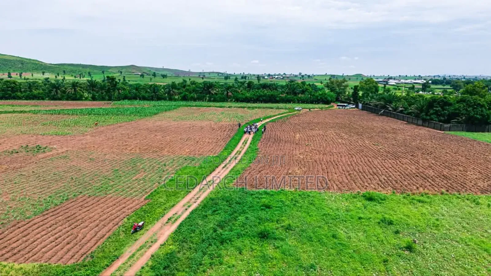 Agricultural Farmland | Affordable Lands for Sale in Abuja
