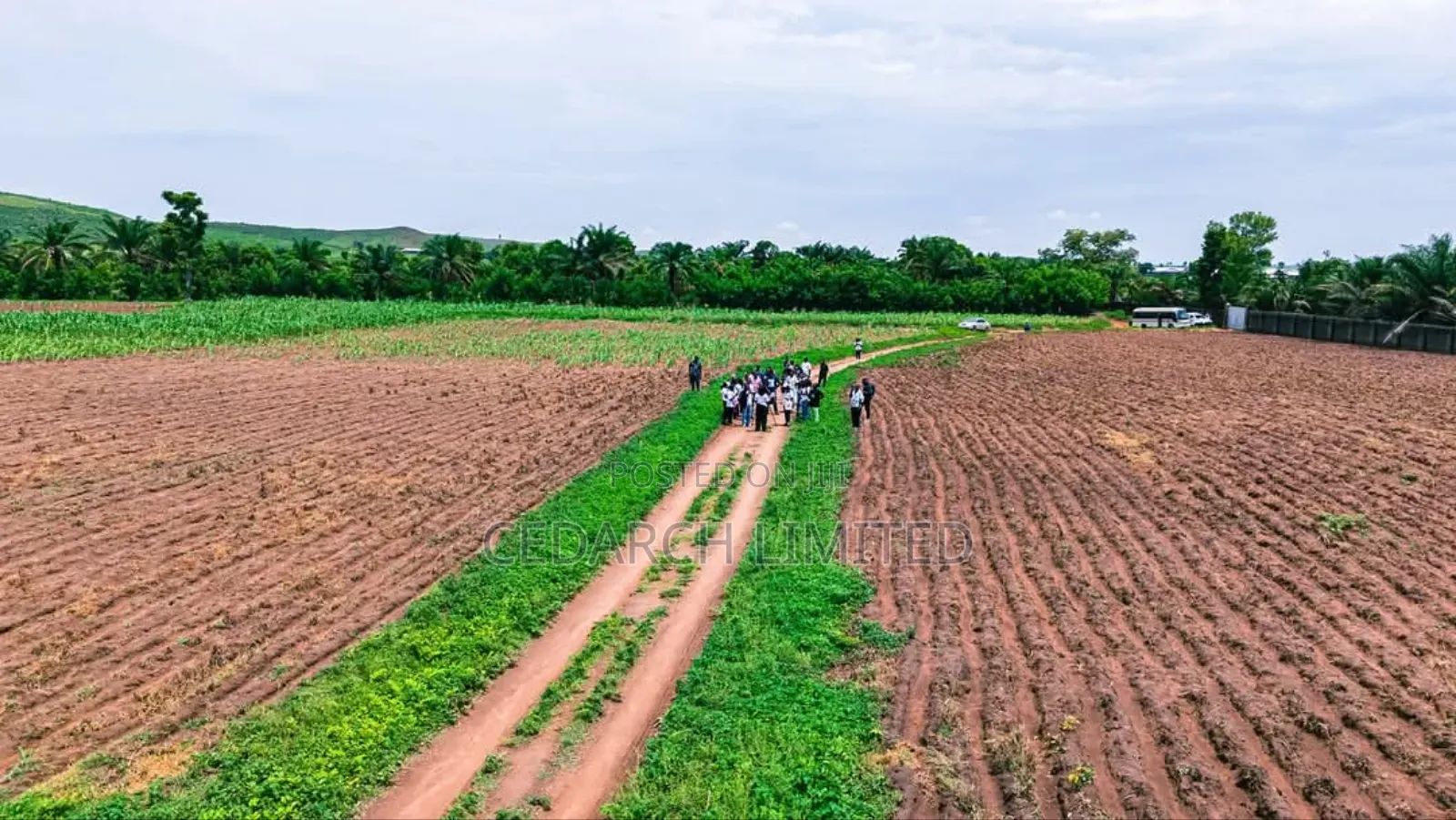 Agricultural Farmland | Affordable Lands for Sale in Abuja
