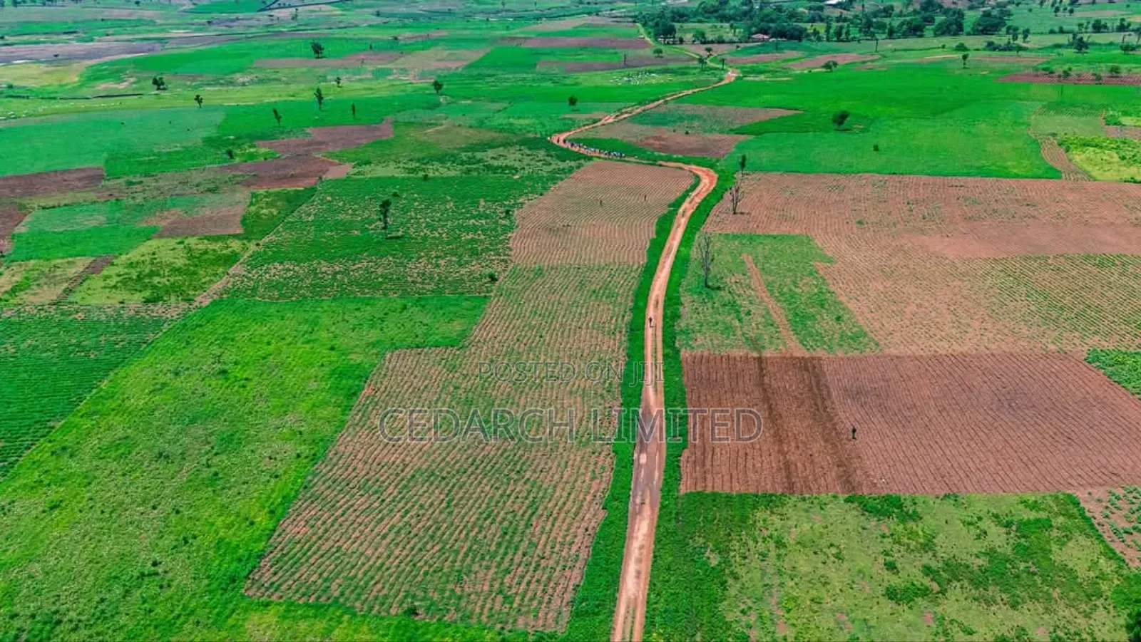 Agricultural Farmland | Affordable Lands for Sale in Abuja