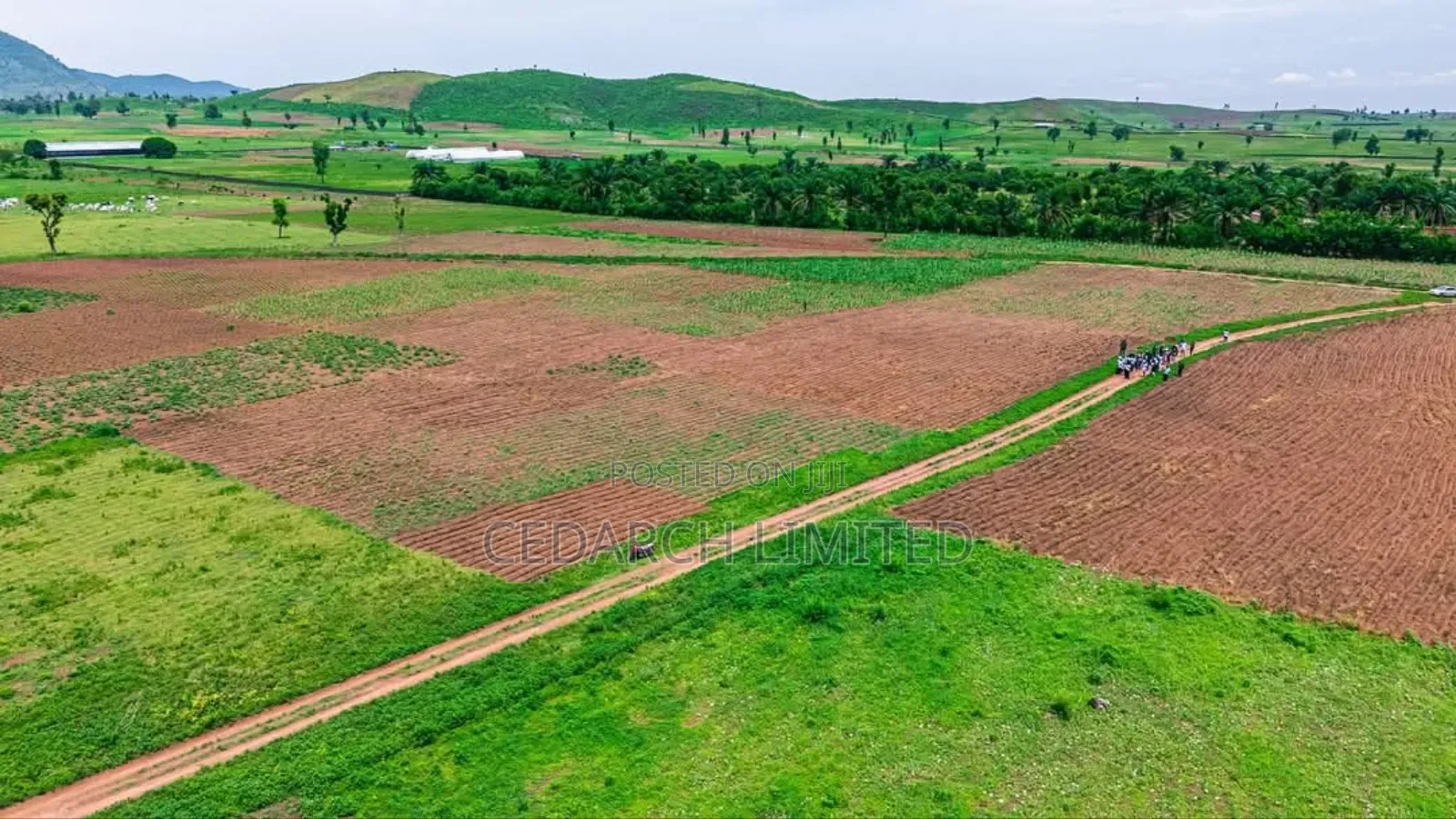Agricultural Farmland | Affordable Lands for Sale in Abuja