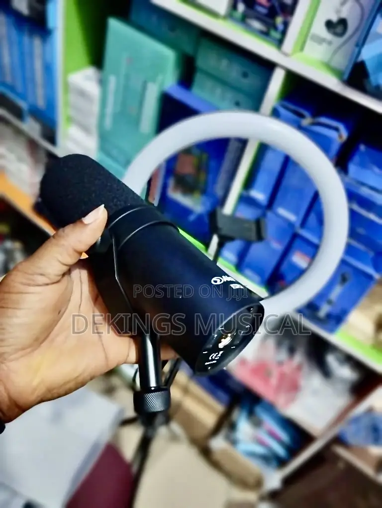 Alctron Bd710 Recording Studio Condenser Microphone