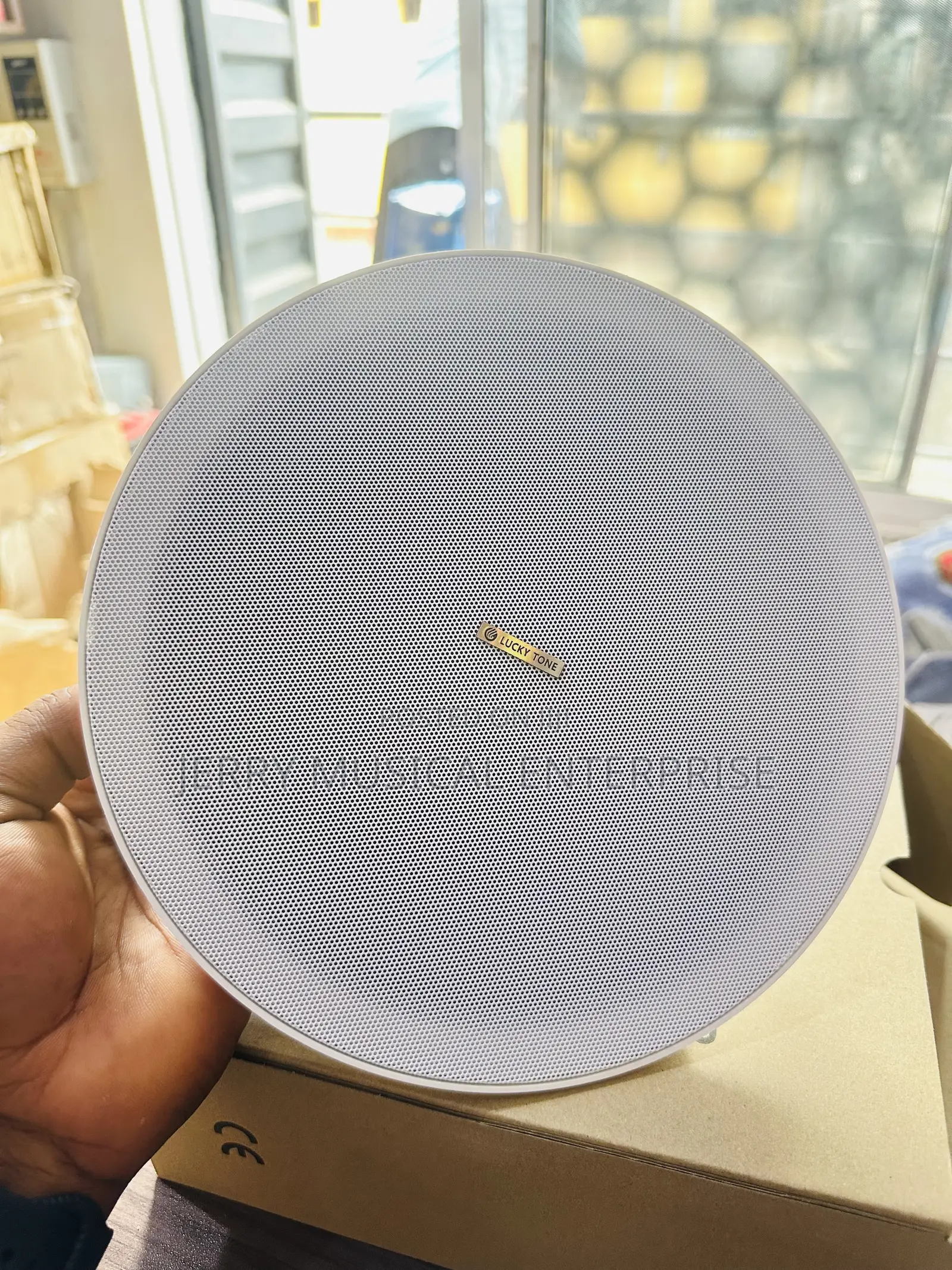 High Quality Sound Ceiling Speakers