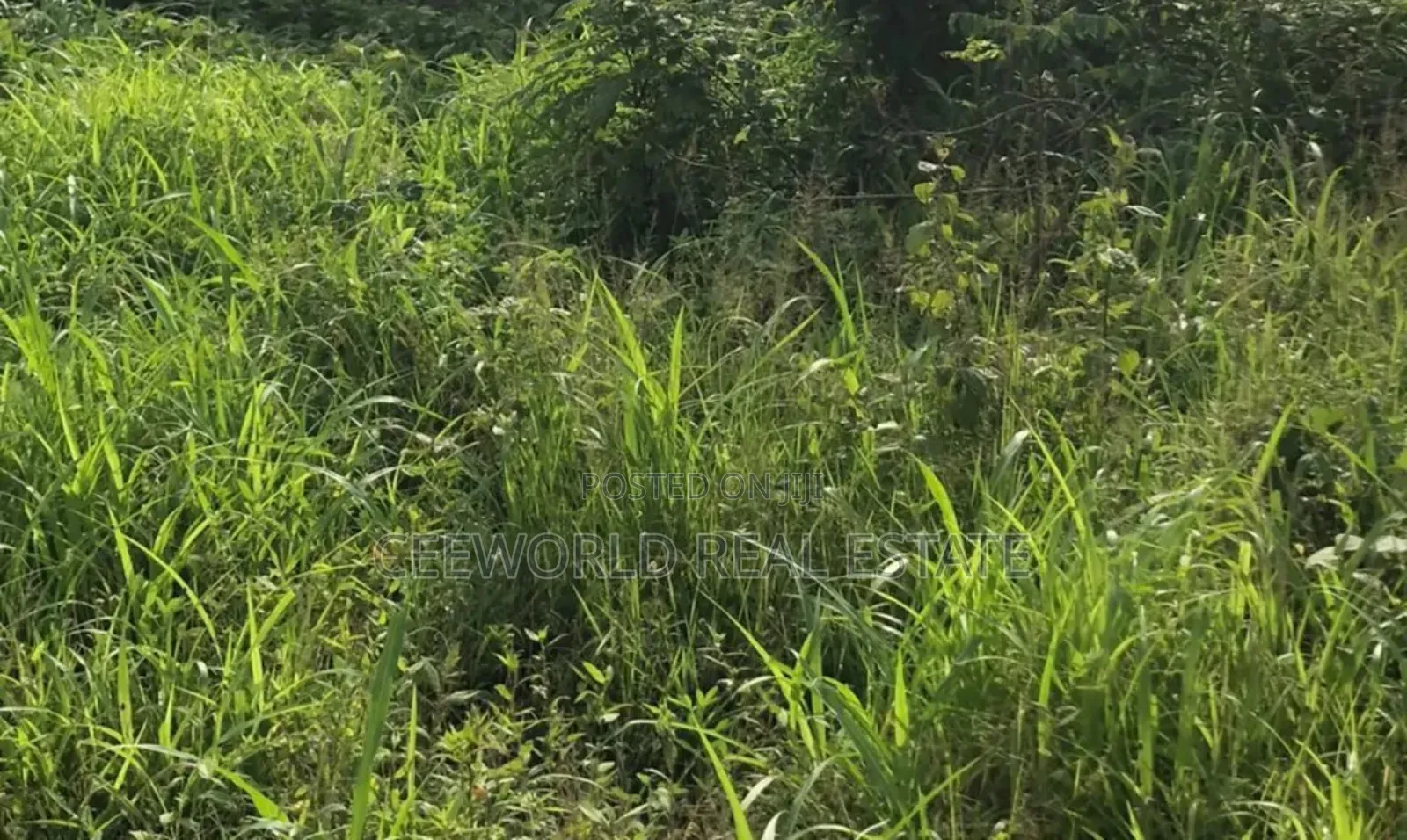 A Standard Plot of Land Corner Piece at Kasumu Estate Zone D