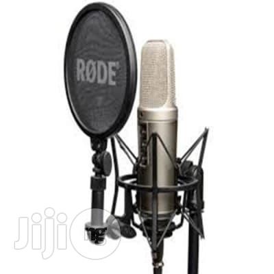 Nt2a Multi-Pattern Dual 1" Condenser Microphone