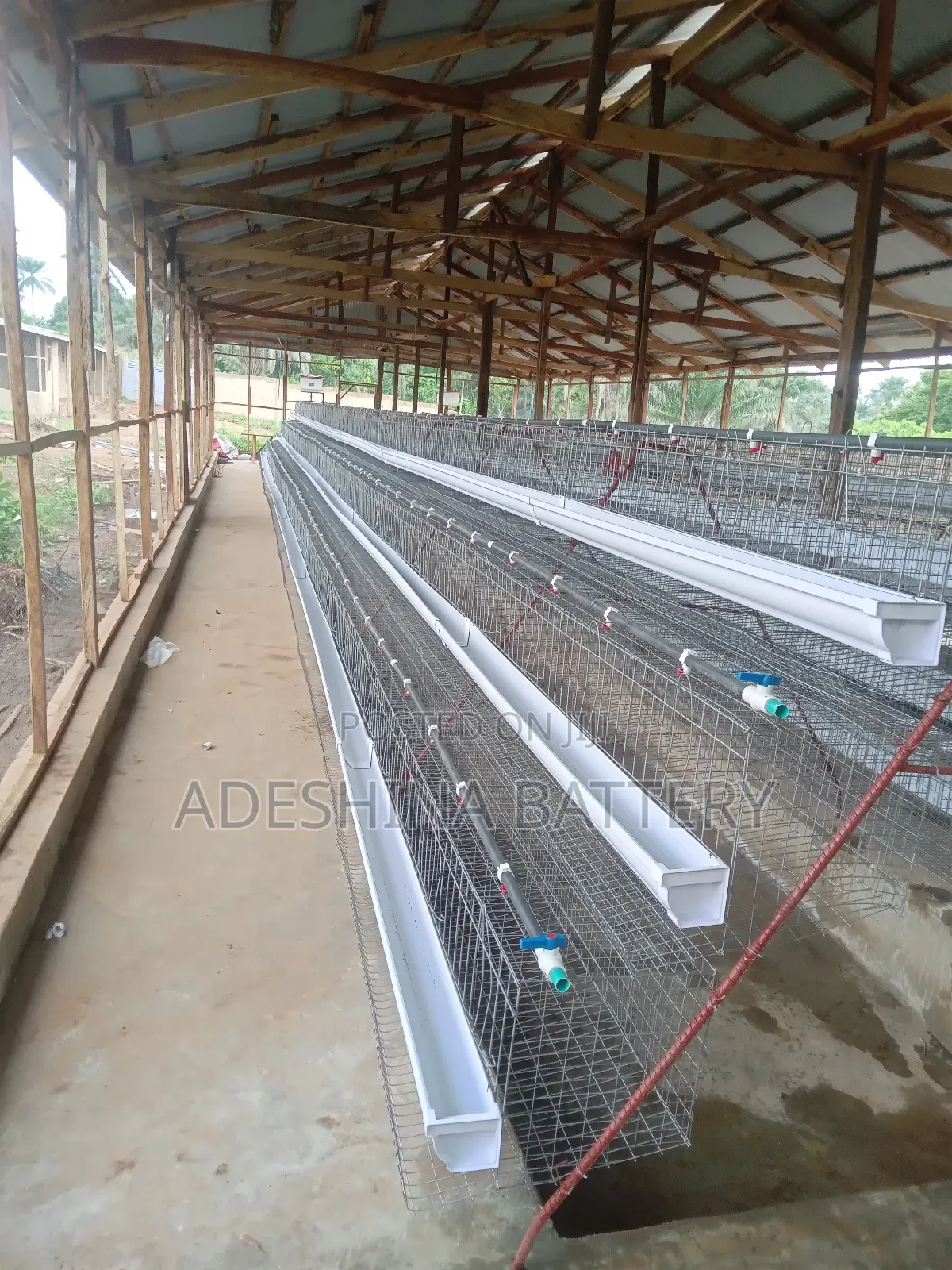 Poultry Cages