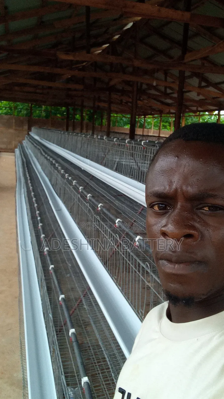 Poultry Cages