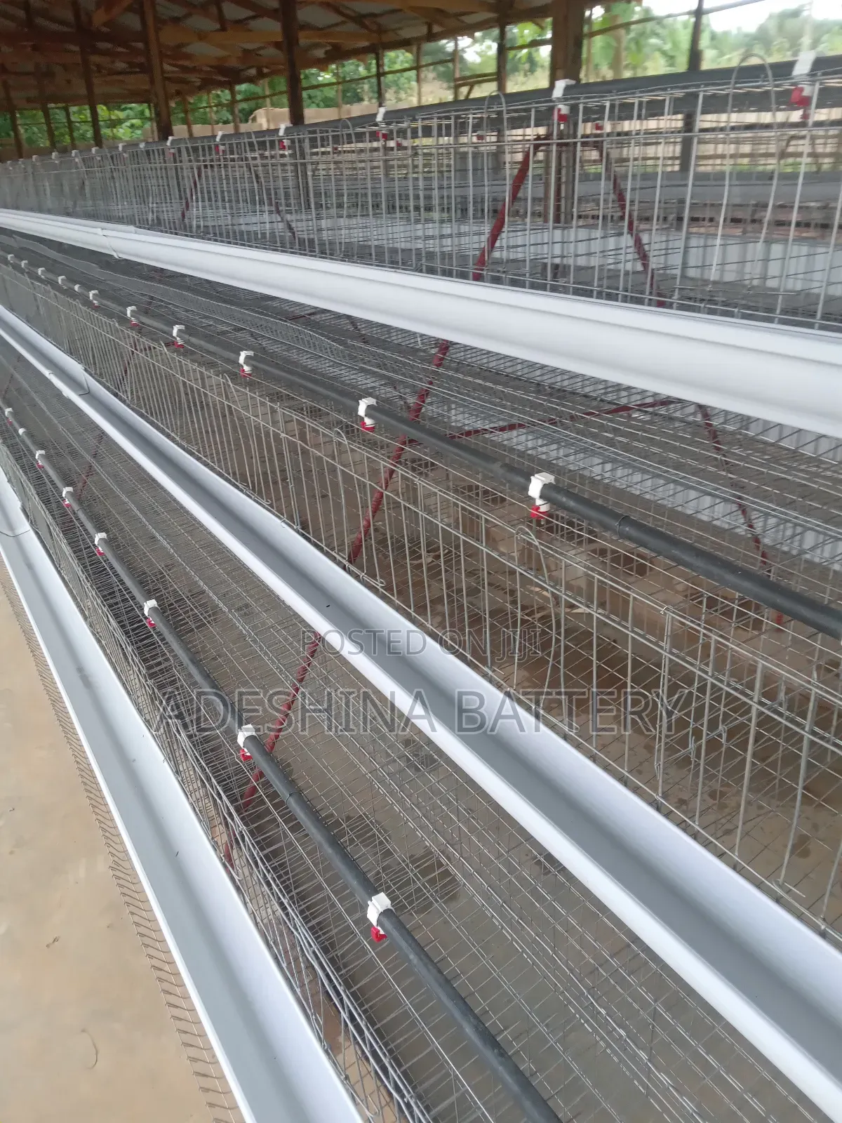 Poultry Cages