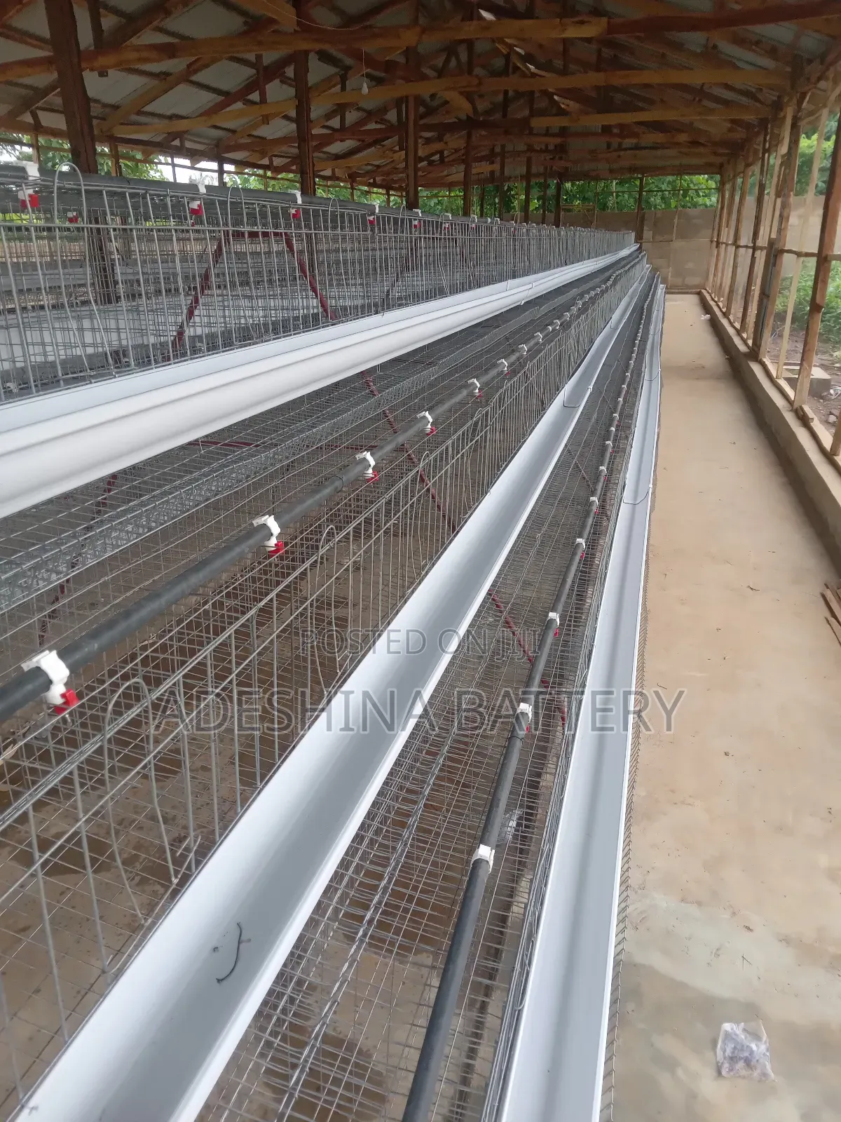 Poultry Cages