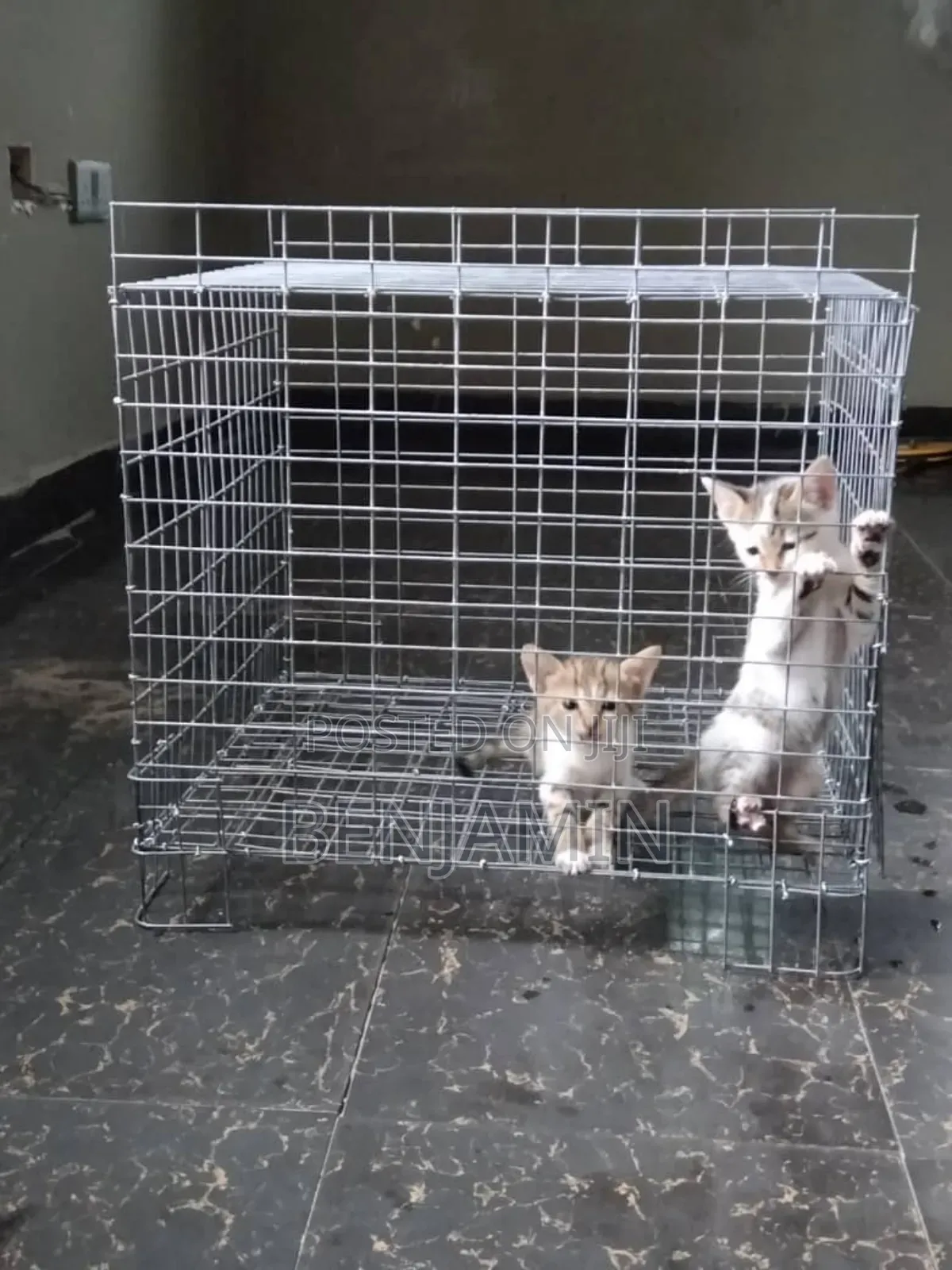 Mini Cat Cage