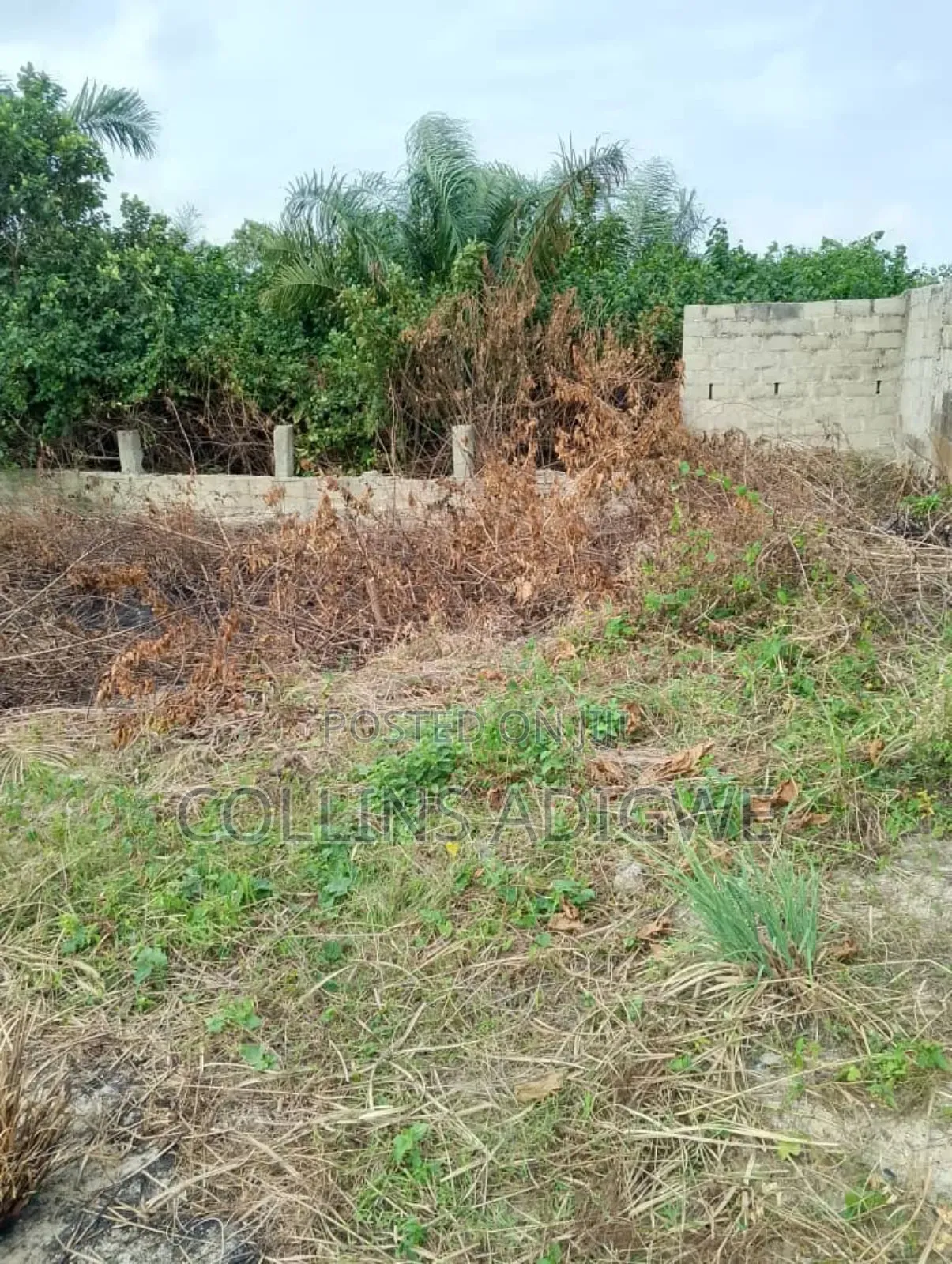 A Plot of Land in Okun Ajah