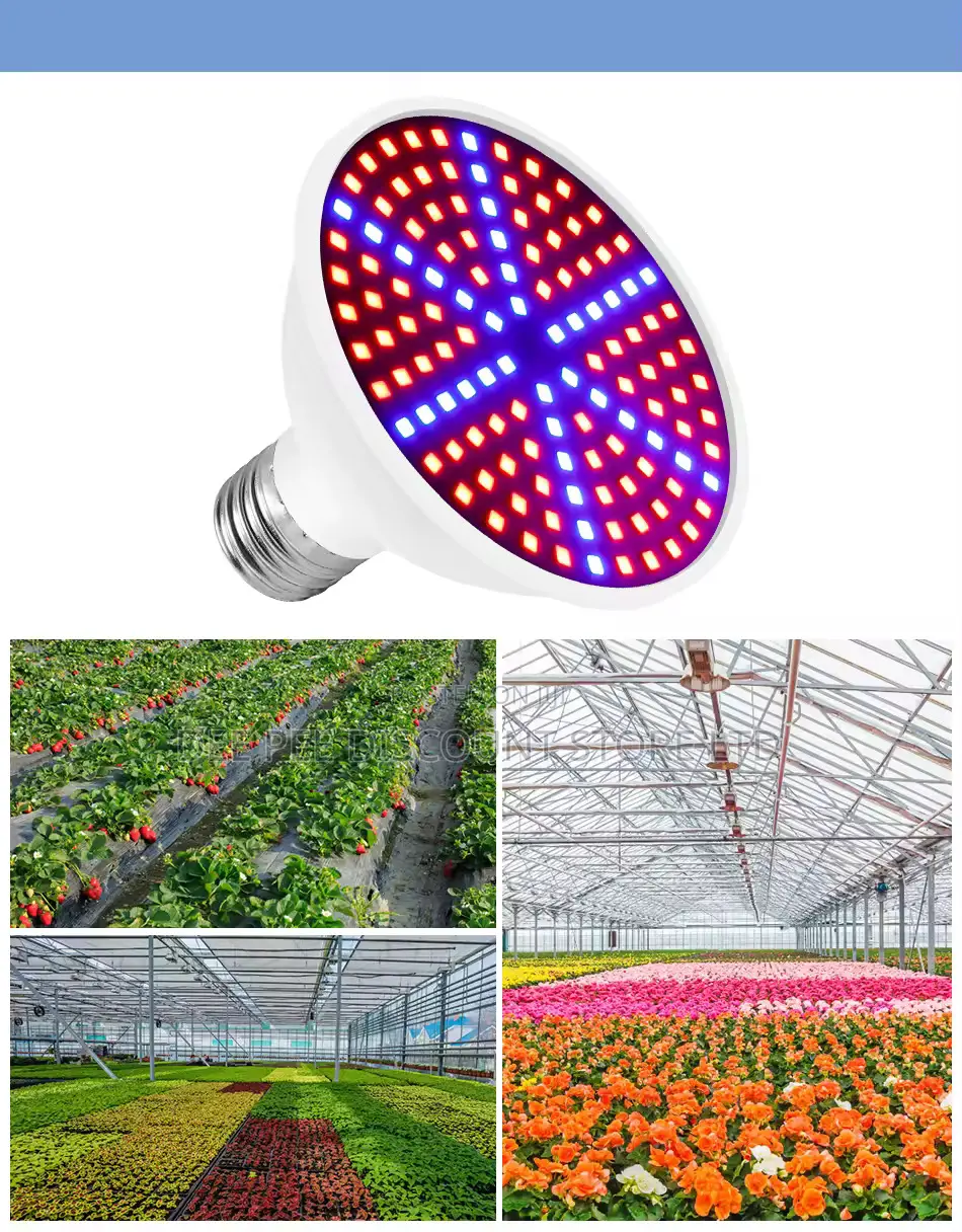 Plant Led Grow Light Bulb Full Spectrum Phytolamp Indoor