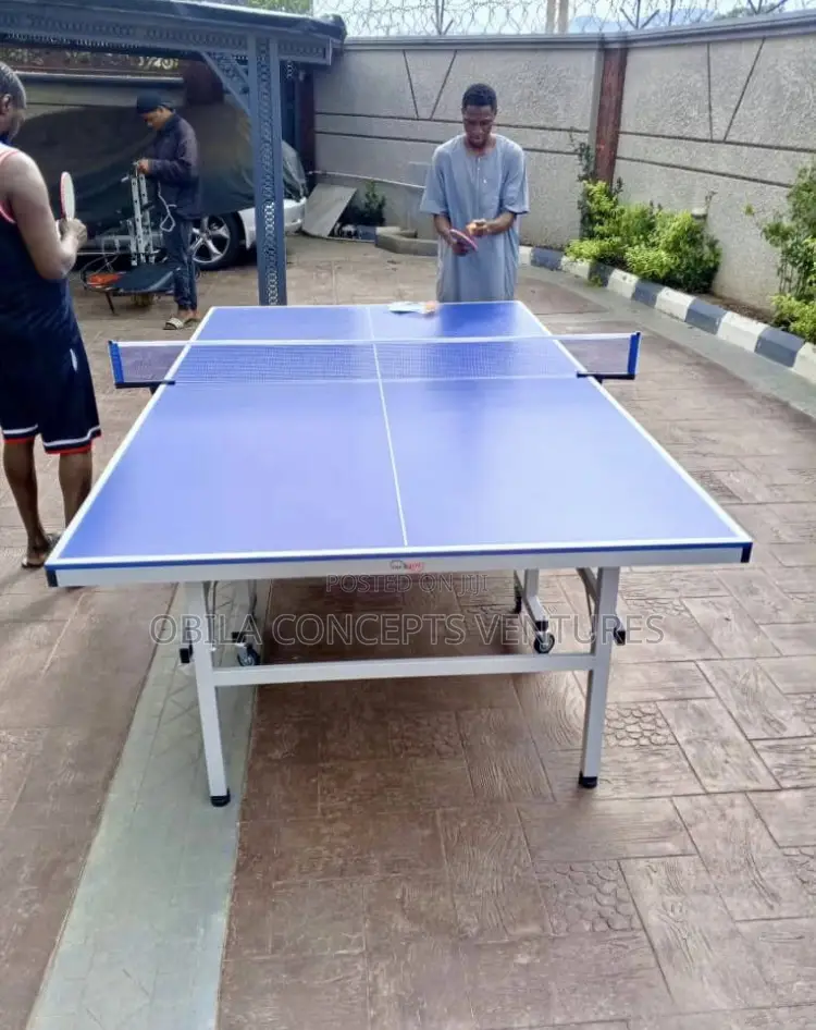 Ping Pong Infinite Outdoor Table Tennis